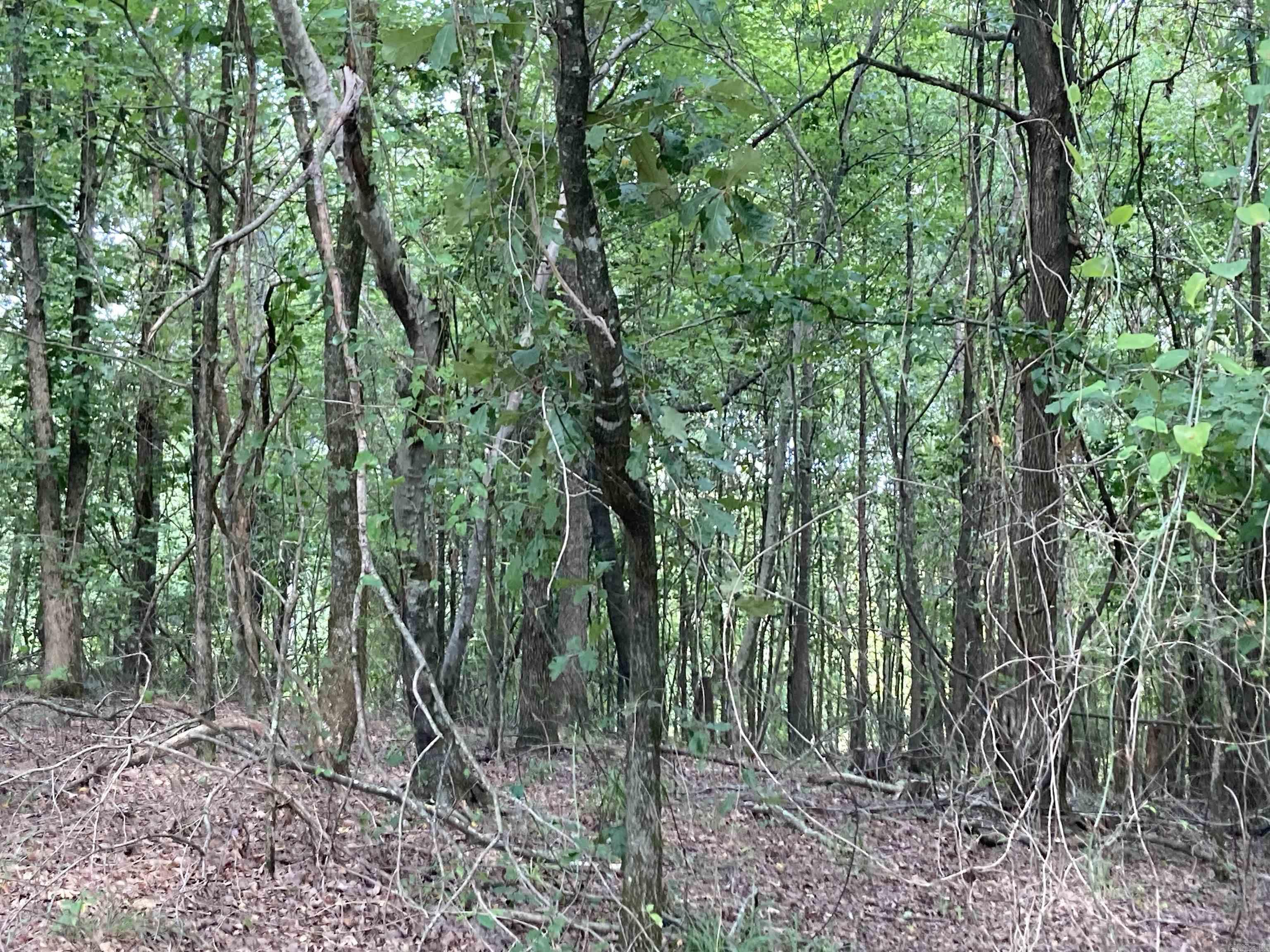 TBD Polk Road 136  Cove, AR