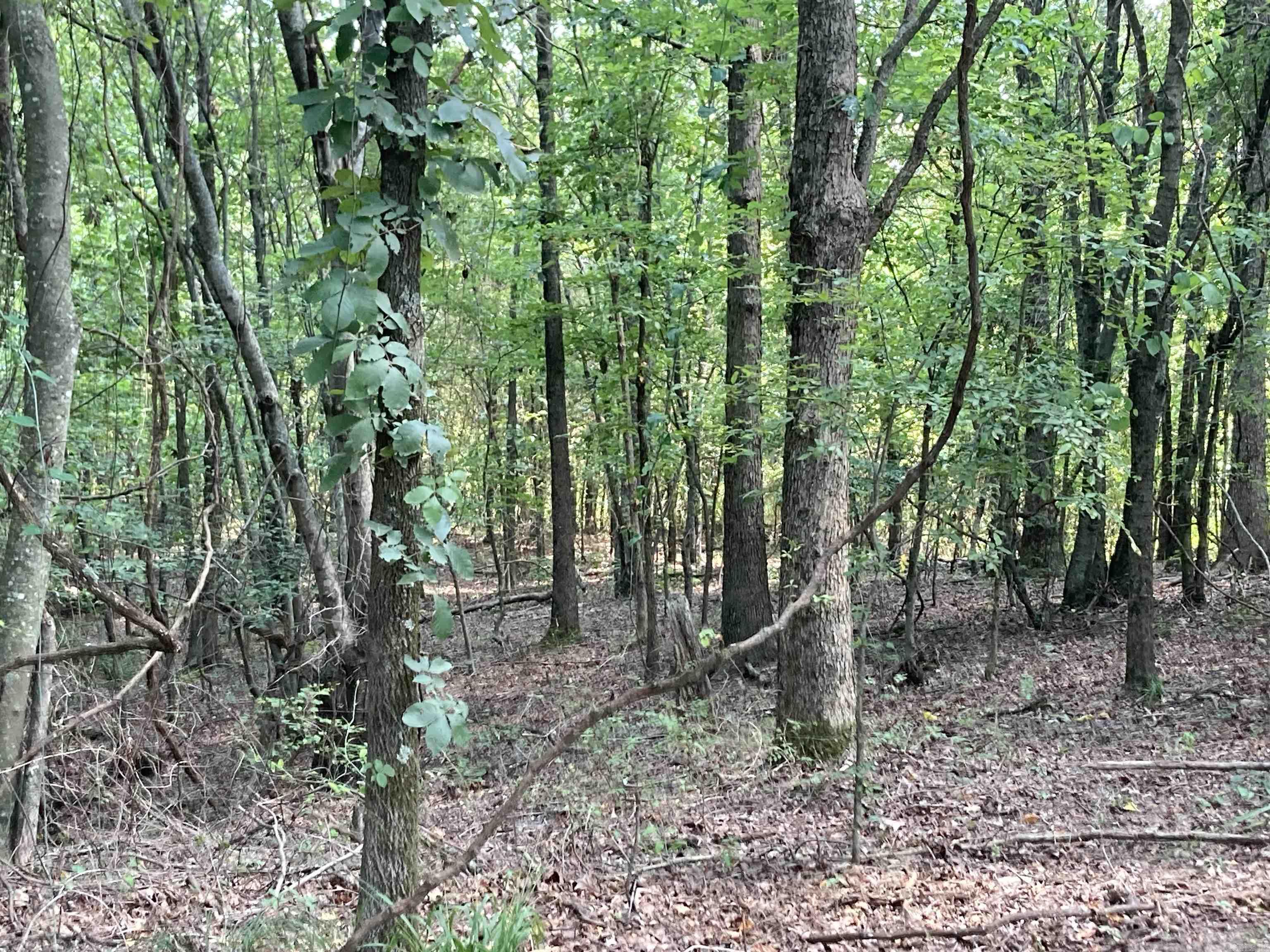 TBD Polk Road 136  Cove, AR