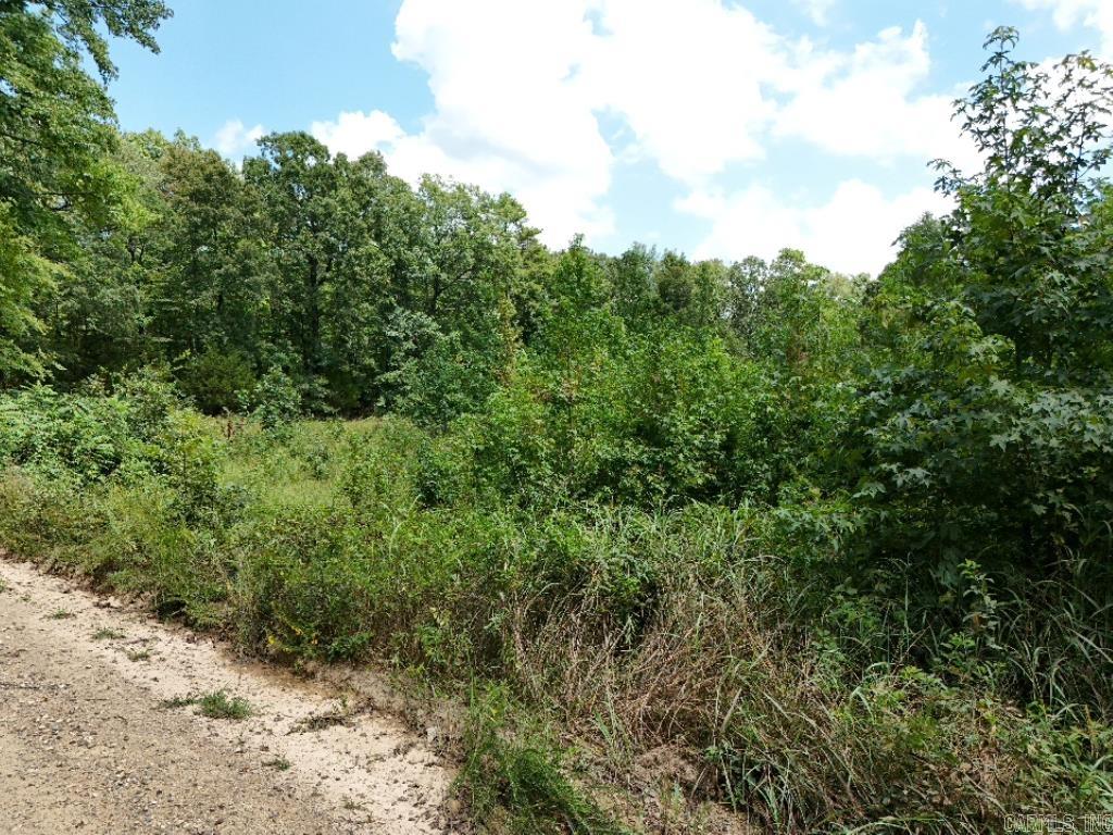 0 Polk Road 407  Cove, AR