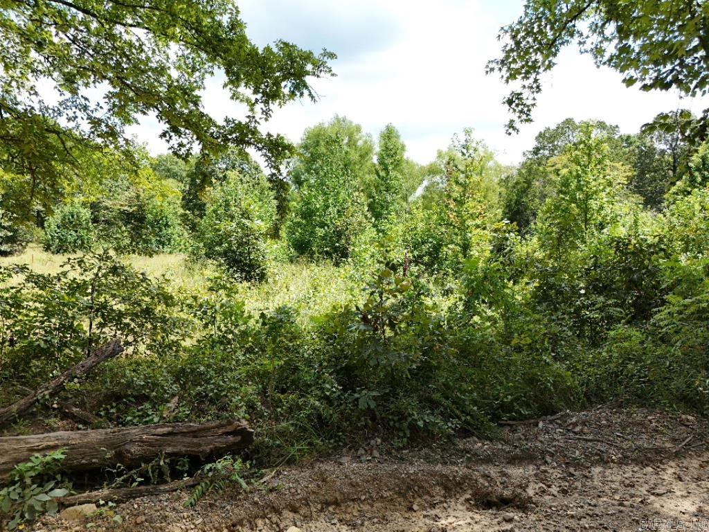 0 Polk Road 407  Cove, AR
