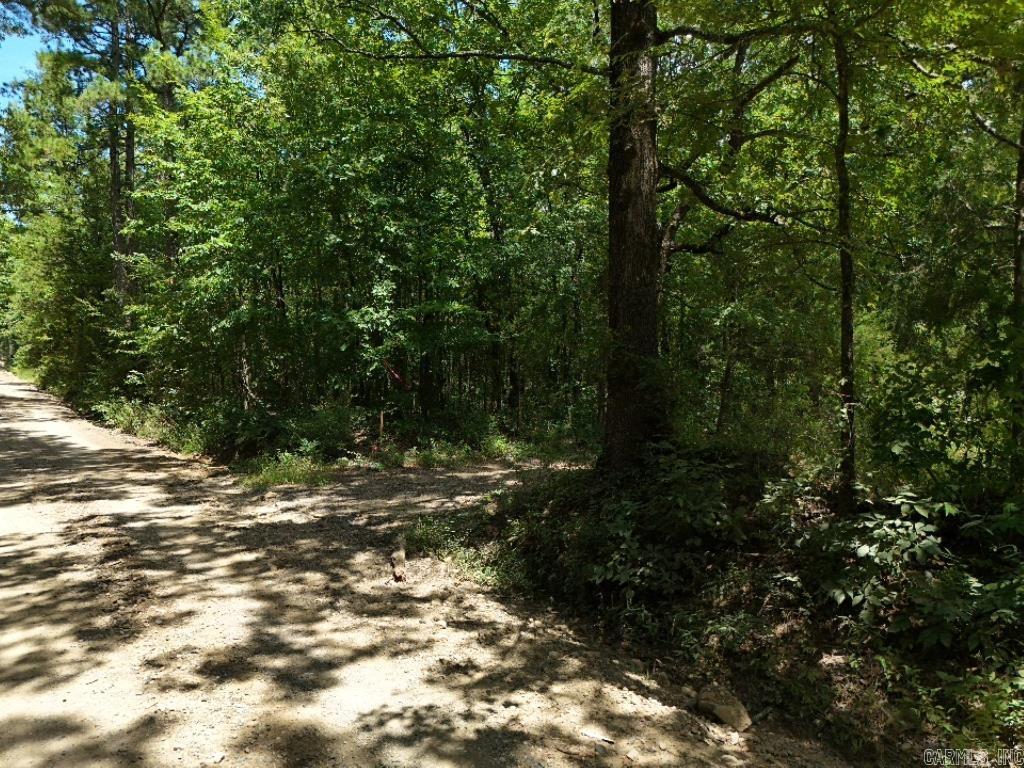 0 Polk Road 407  Cove, AR