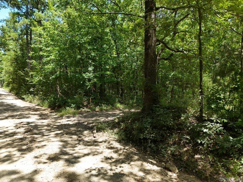 0 Polk Road 407  Cove, AR