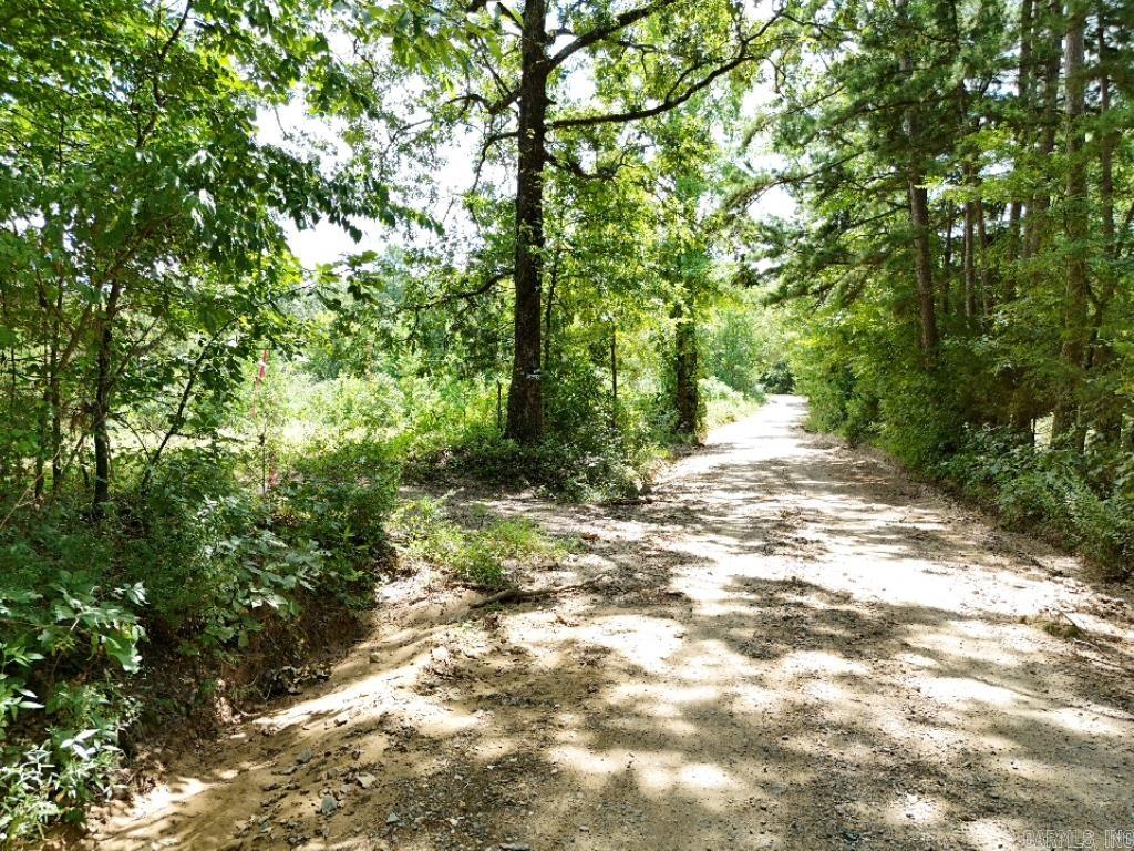 0 Polk Road 407  Cove, AR
