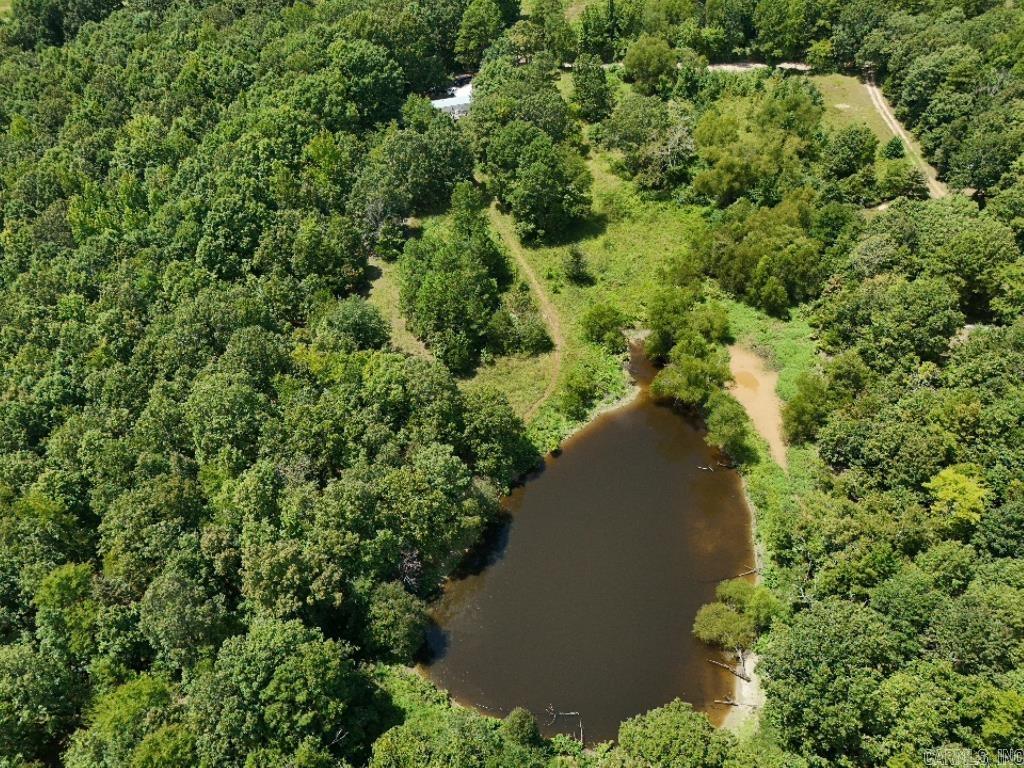 0 Polk Road 407  Cove, AR