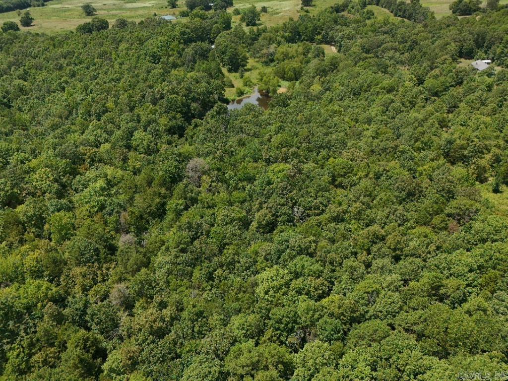 0 Polk Road 407  Cove, AR