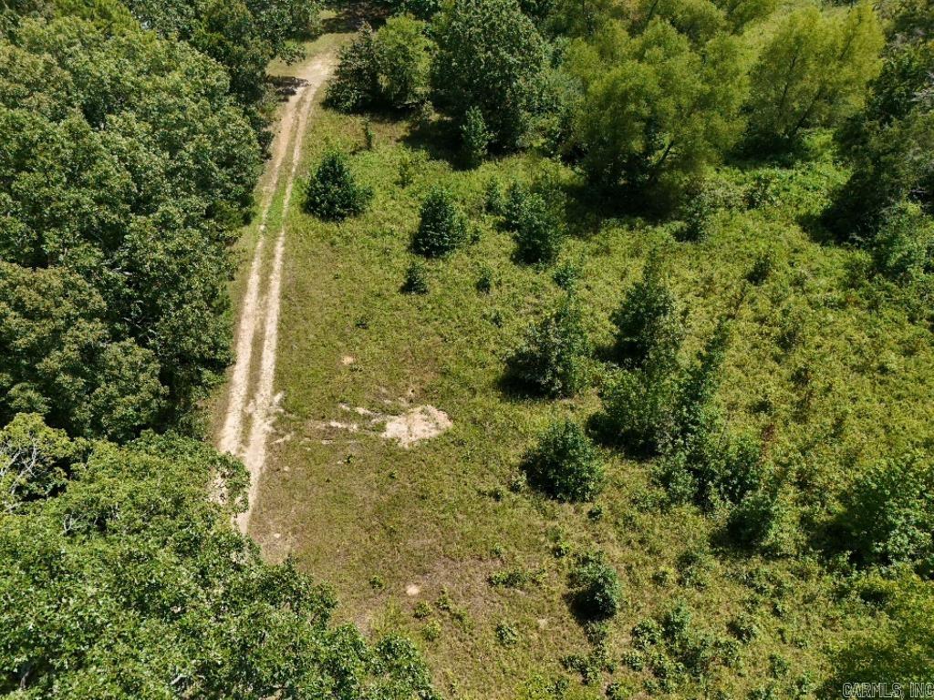 0 Polk Road 407  Cove, AR