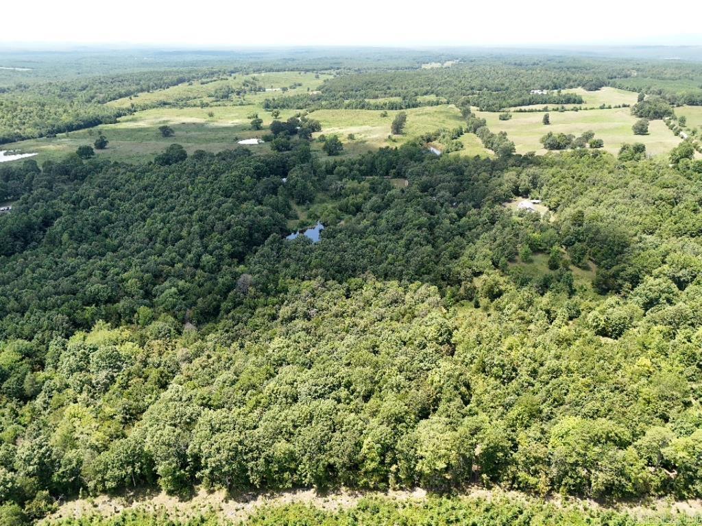 0 Polk Road 407  Cove, AR
