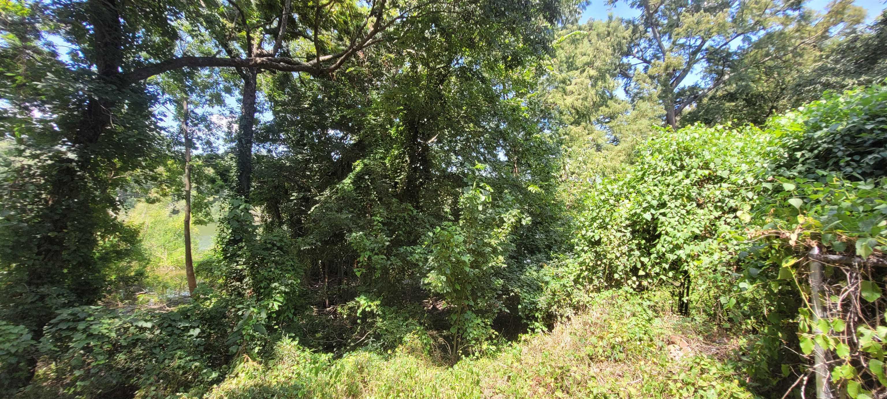 133 Woodruff 191  Augusta, AR