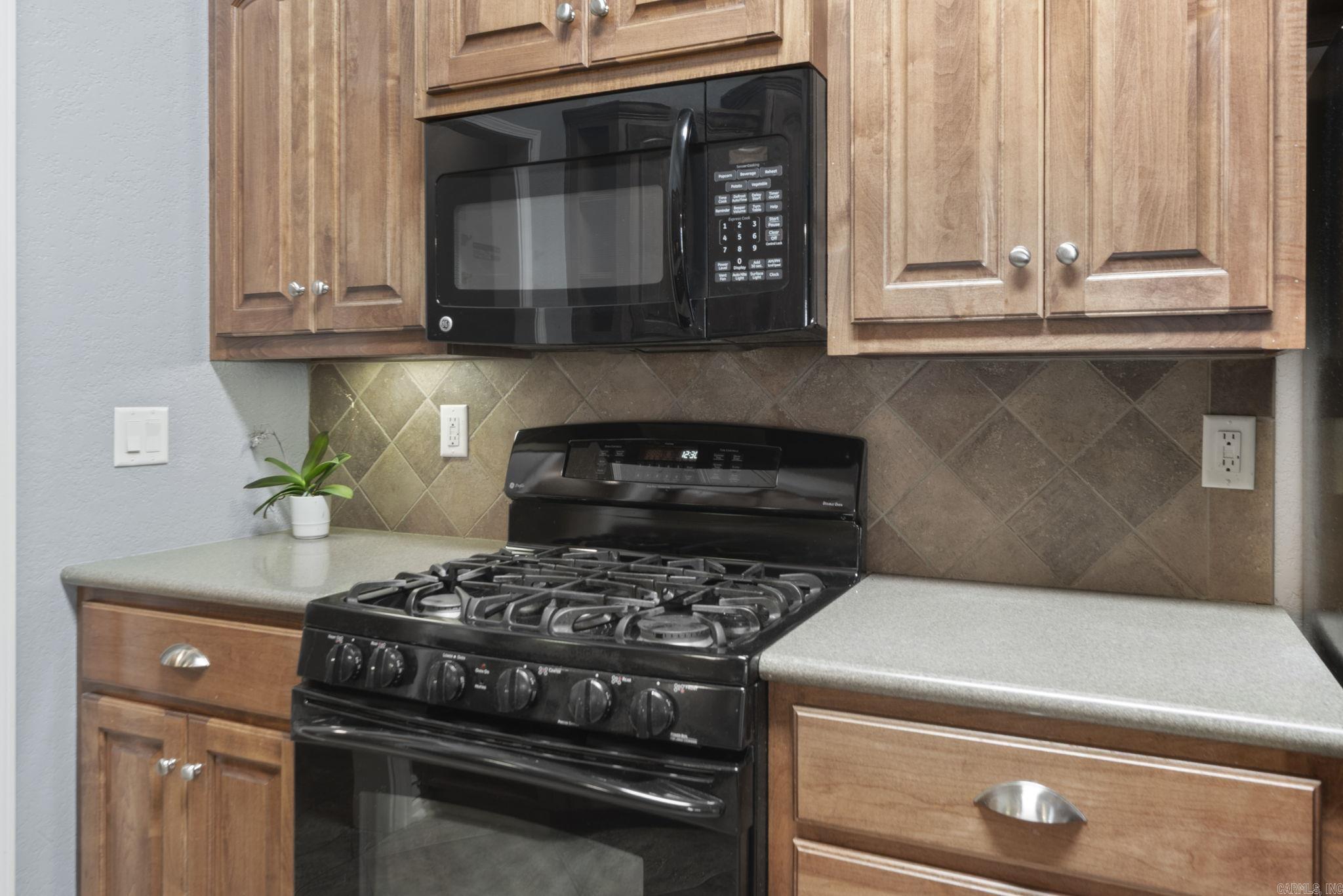 3501 Hemlock Cove  Benton, AR