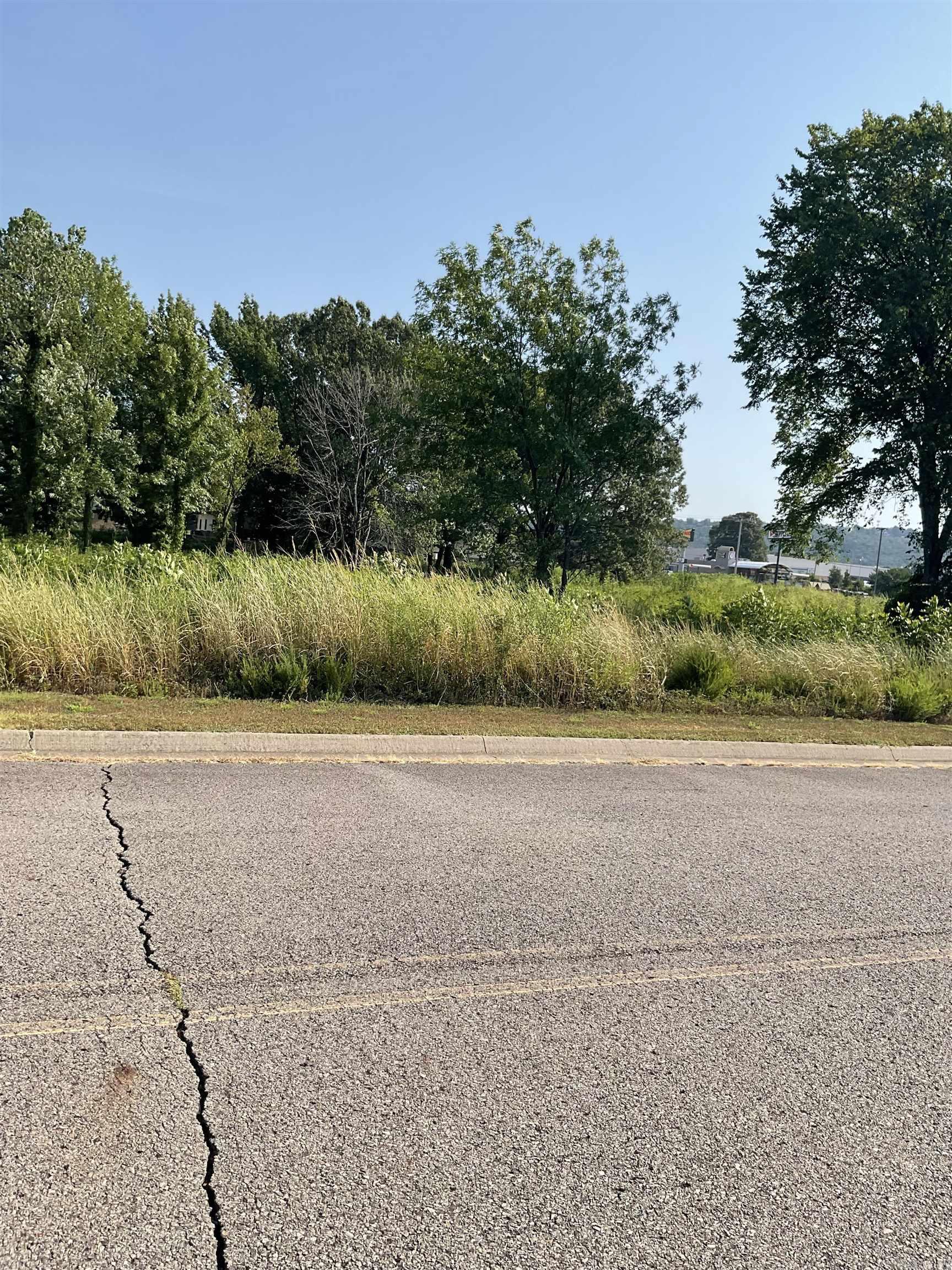 Lot 28 E C  Russellville, AR