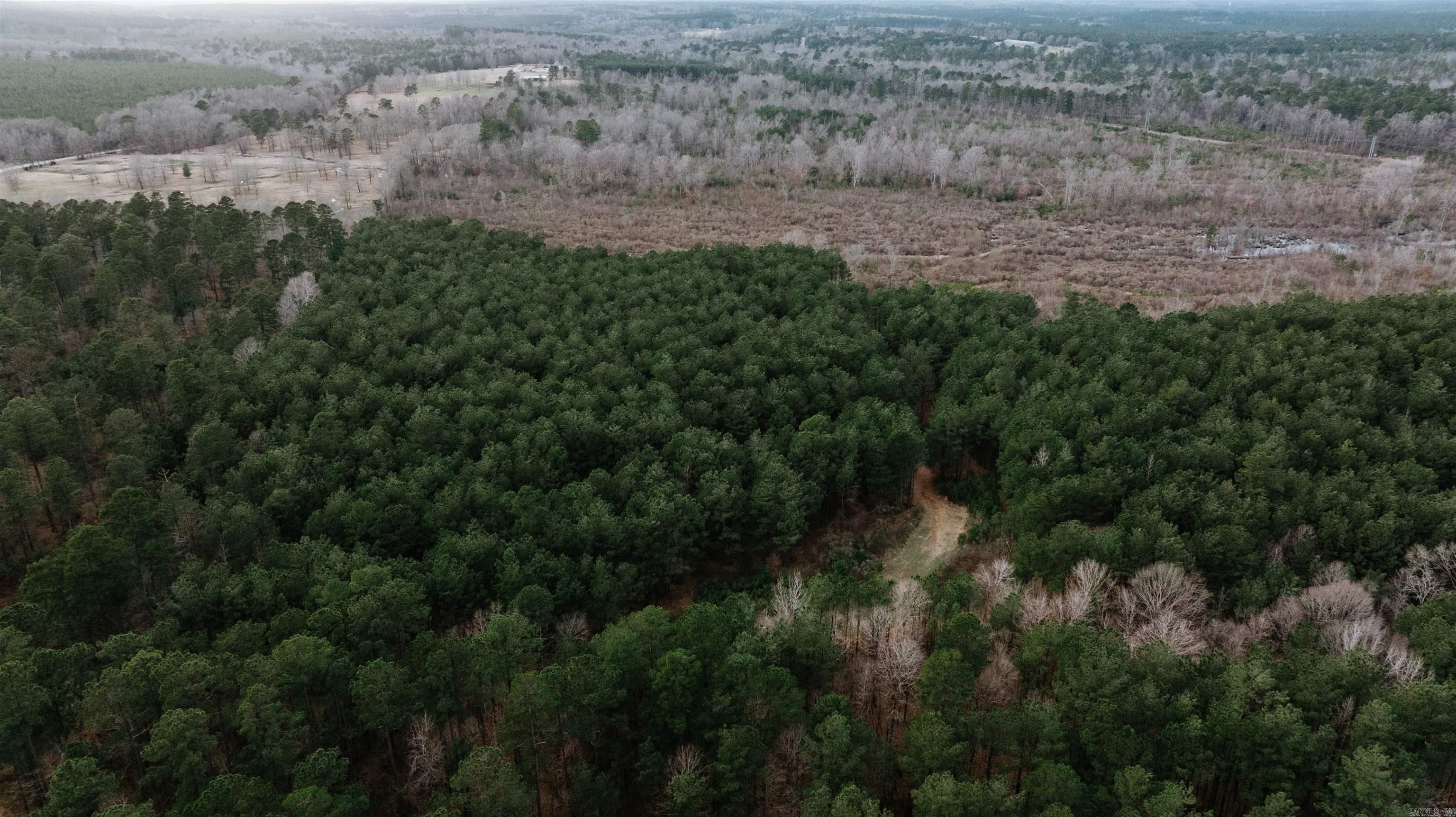 0000 State 98  McNeil, AR