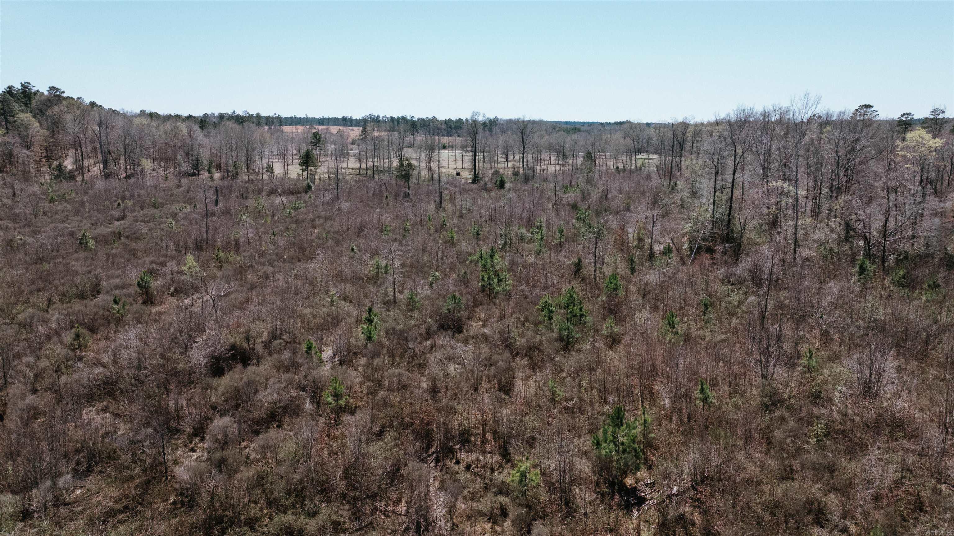 0000 State 98  McNeil, AR