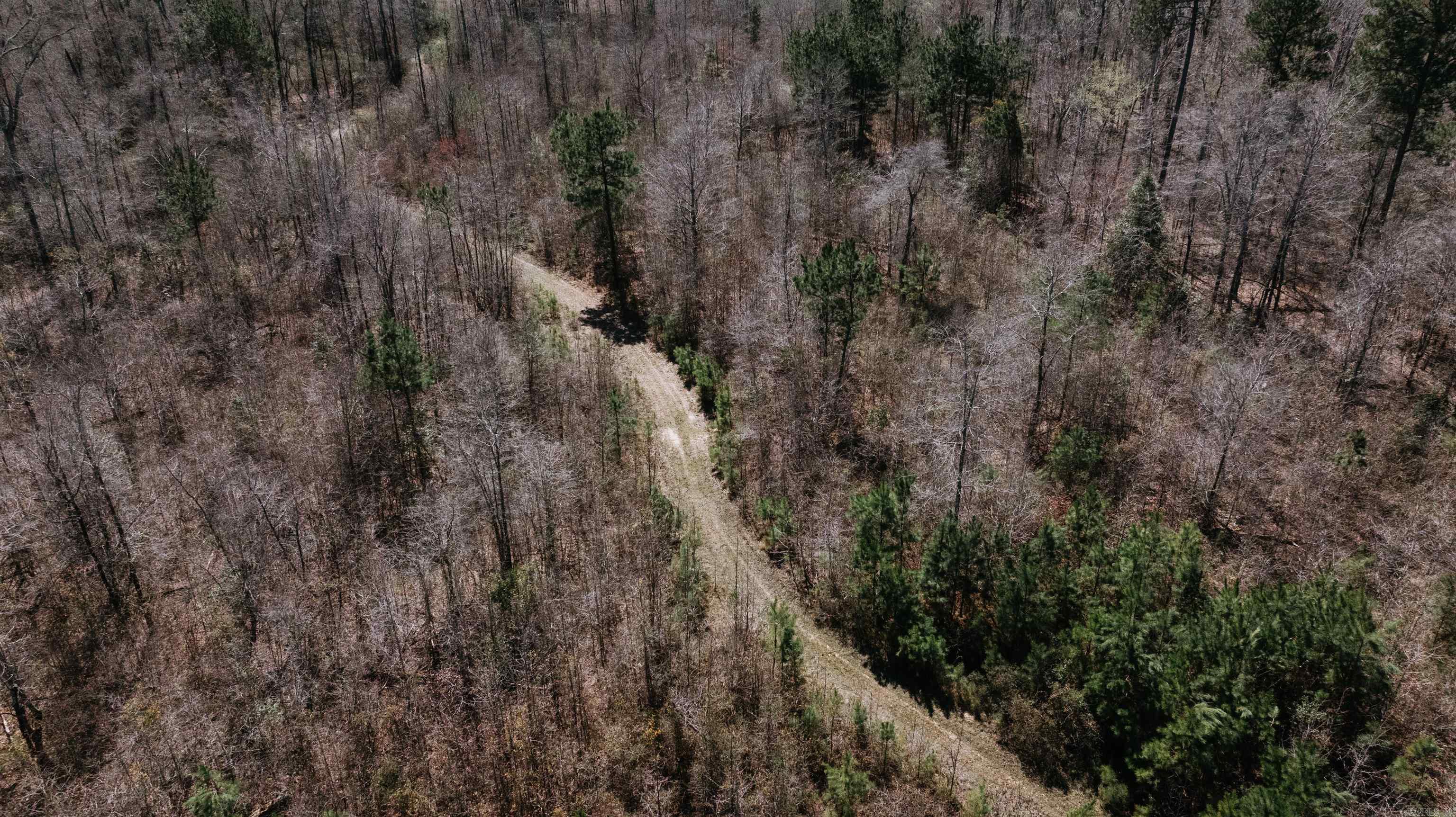 0000 State 98  McNeil, AR
