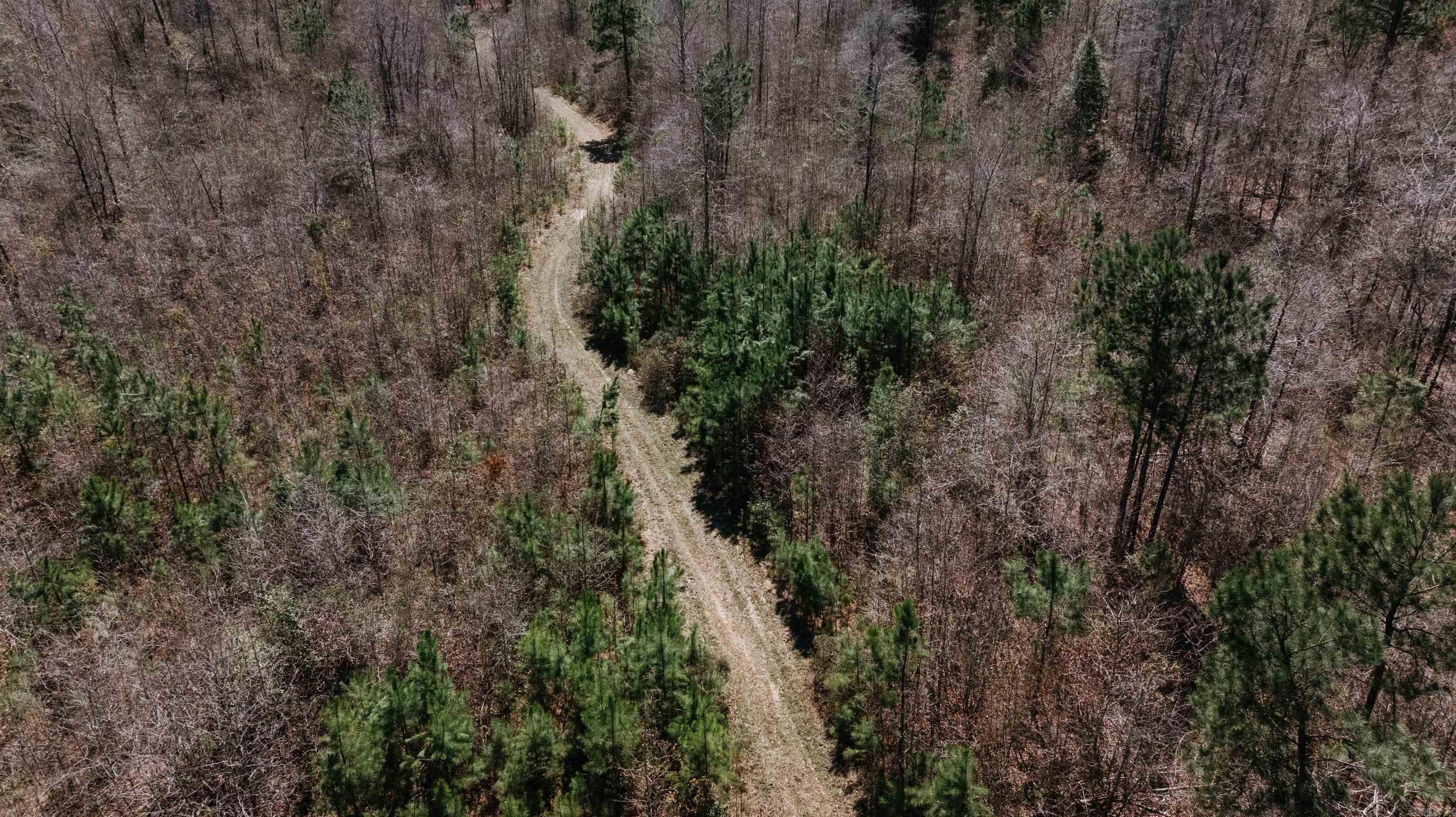0000 State 98  McNeil, AR