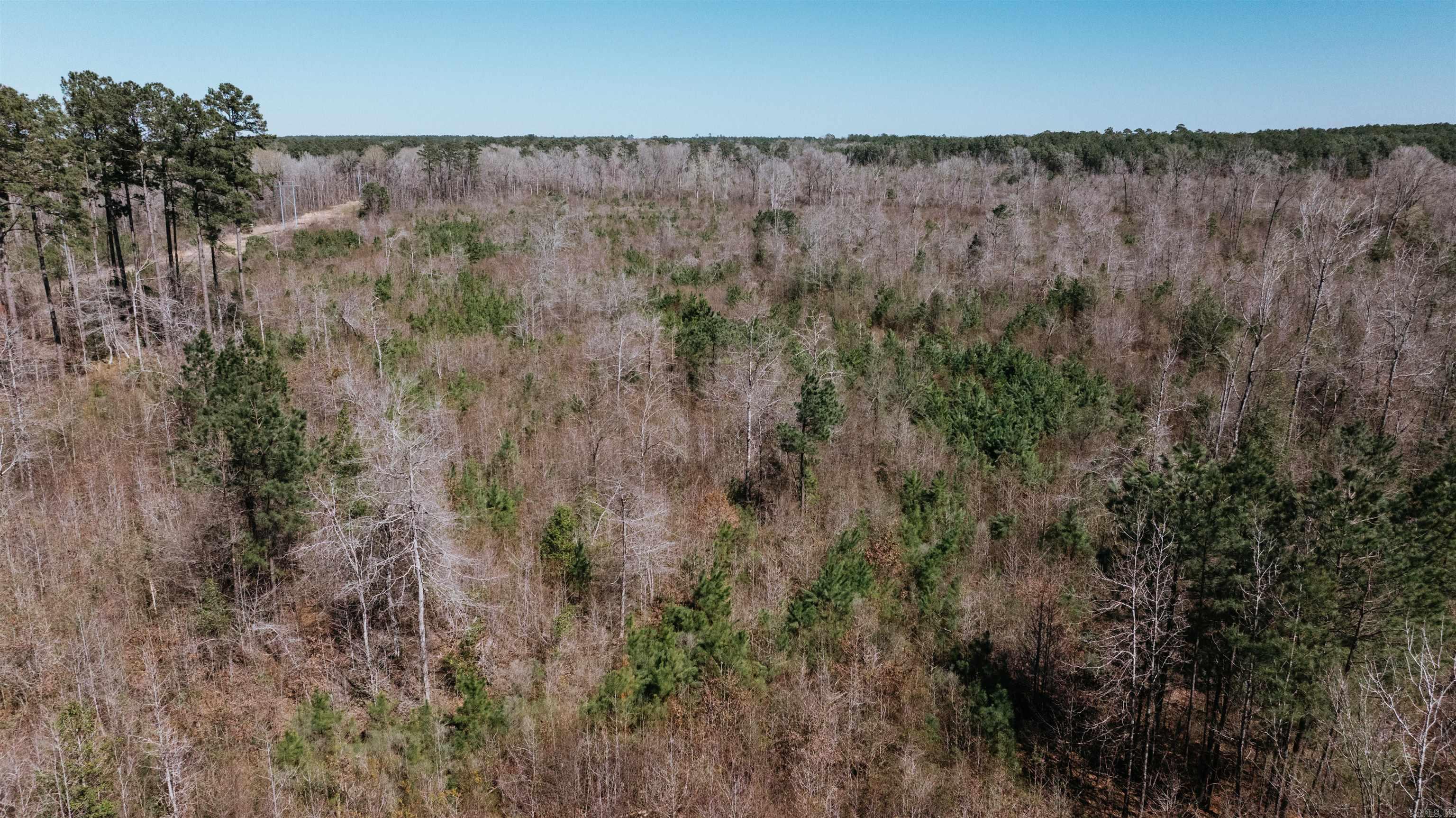 0000 State 98  McNeil, AR