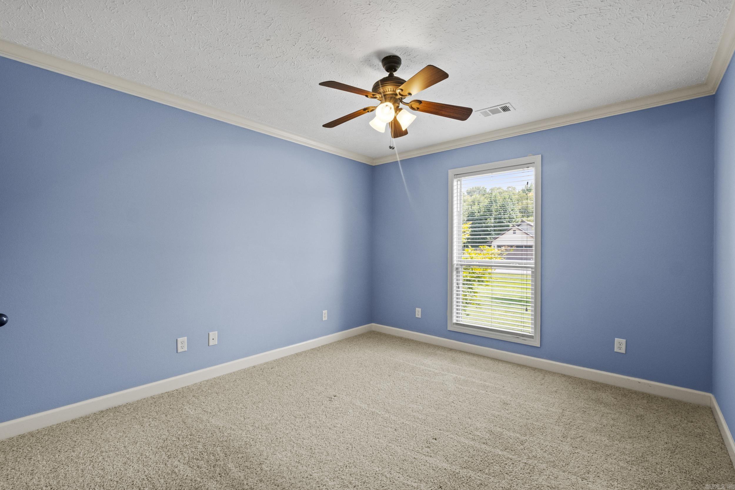 170 Sandy Creek  Ward, AR