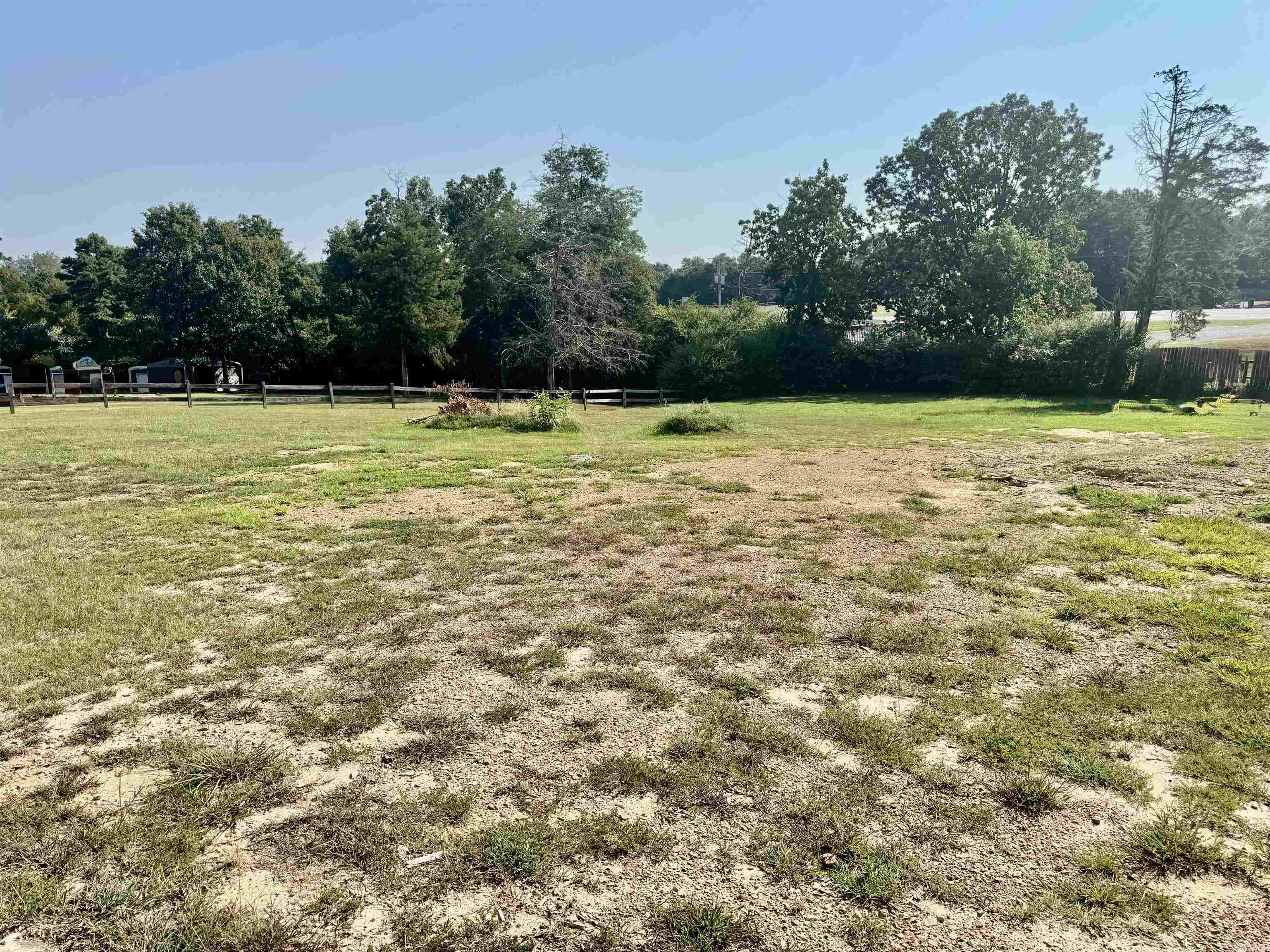 10 Sugar Maple  Greenbrier, AR