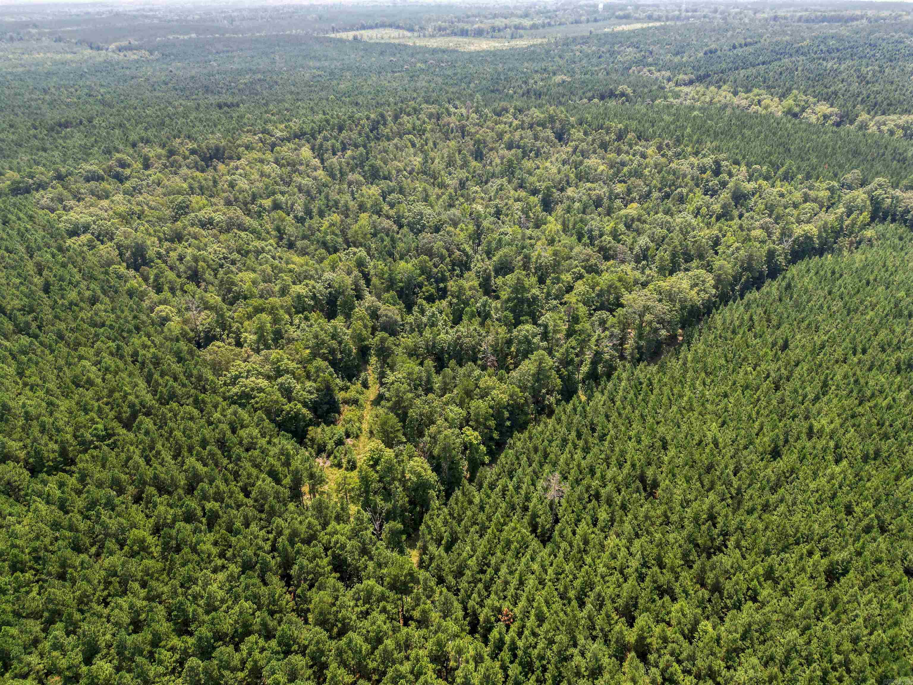 TBD 9808 Forestry Rd  Sheridan, AR