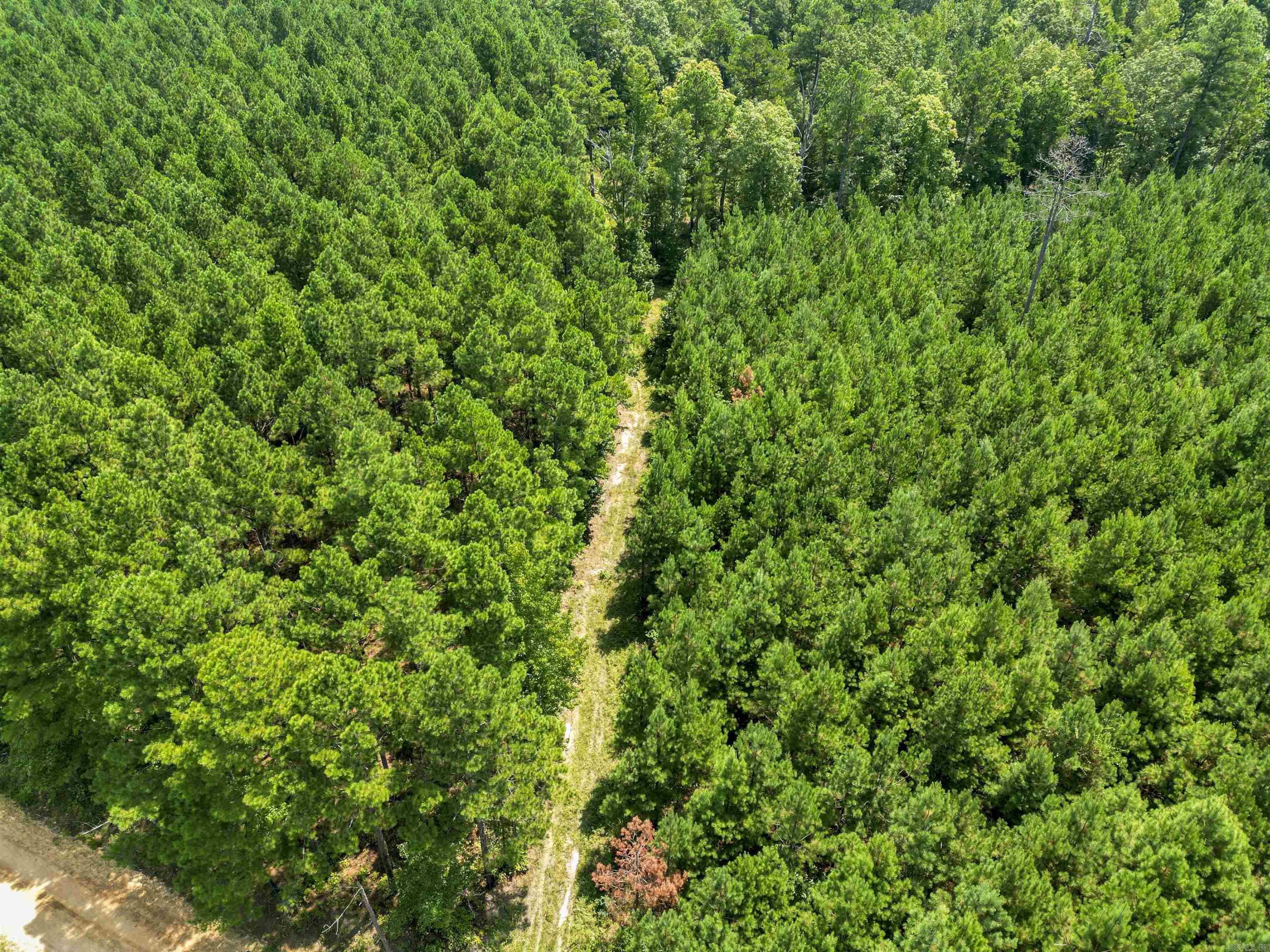 TBD 9808 Forestry Rd  Sheridan, AR