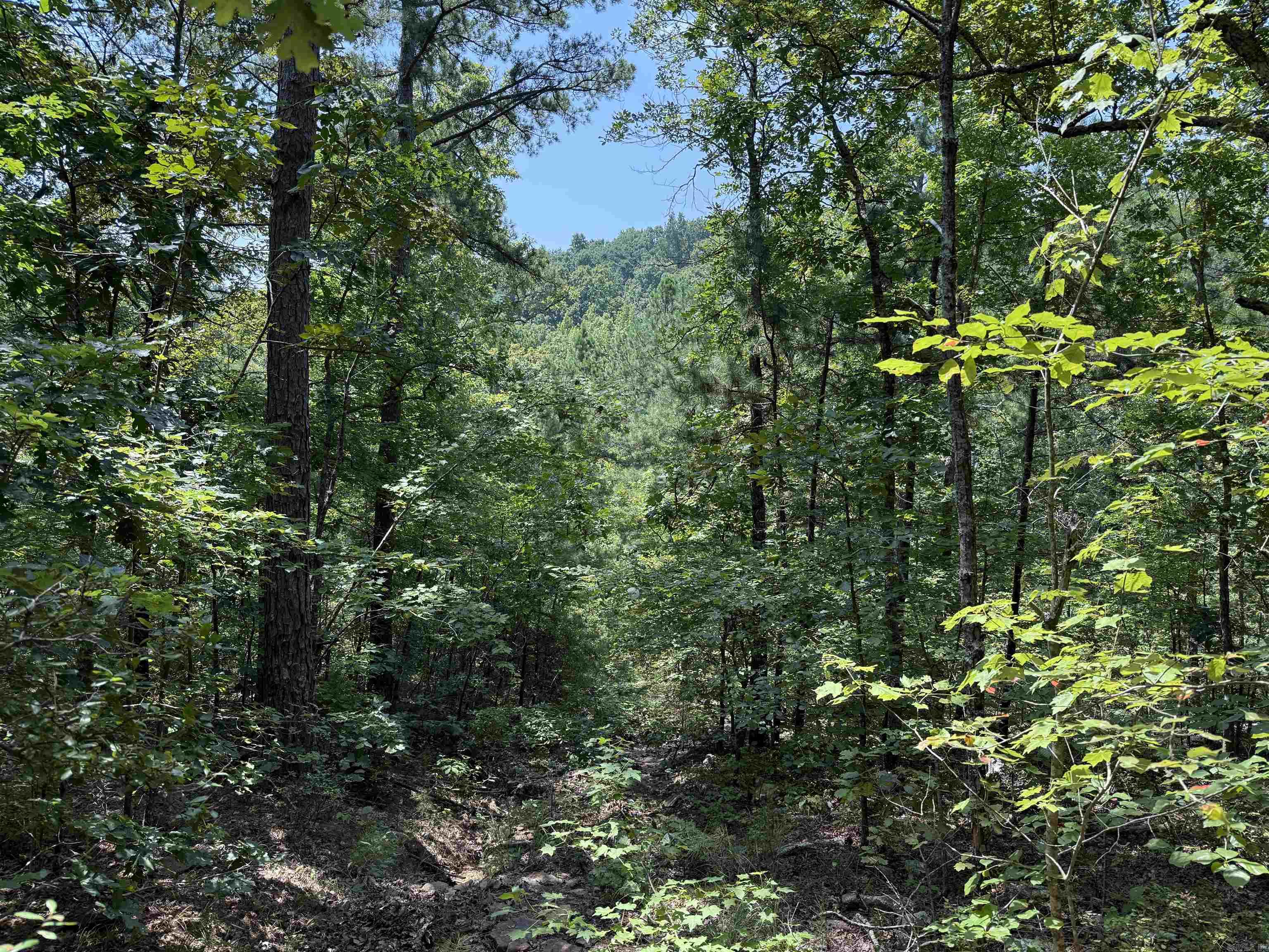 2940 Oxley Road Leslie, AR 72645