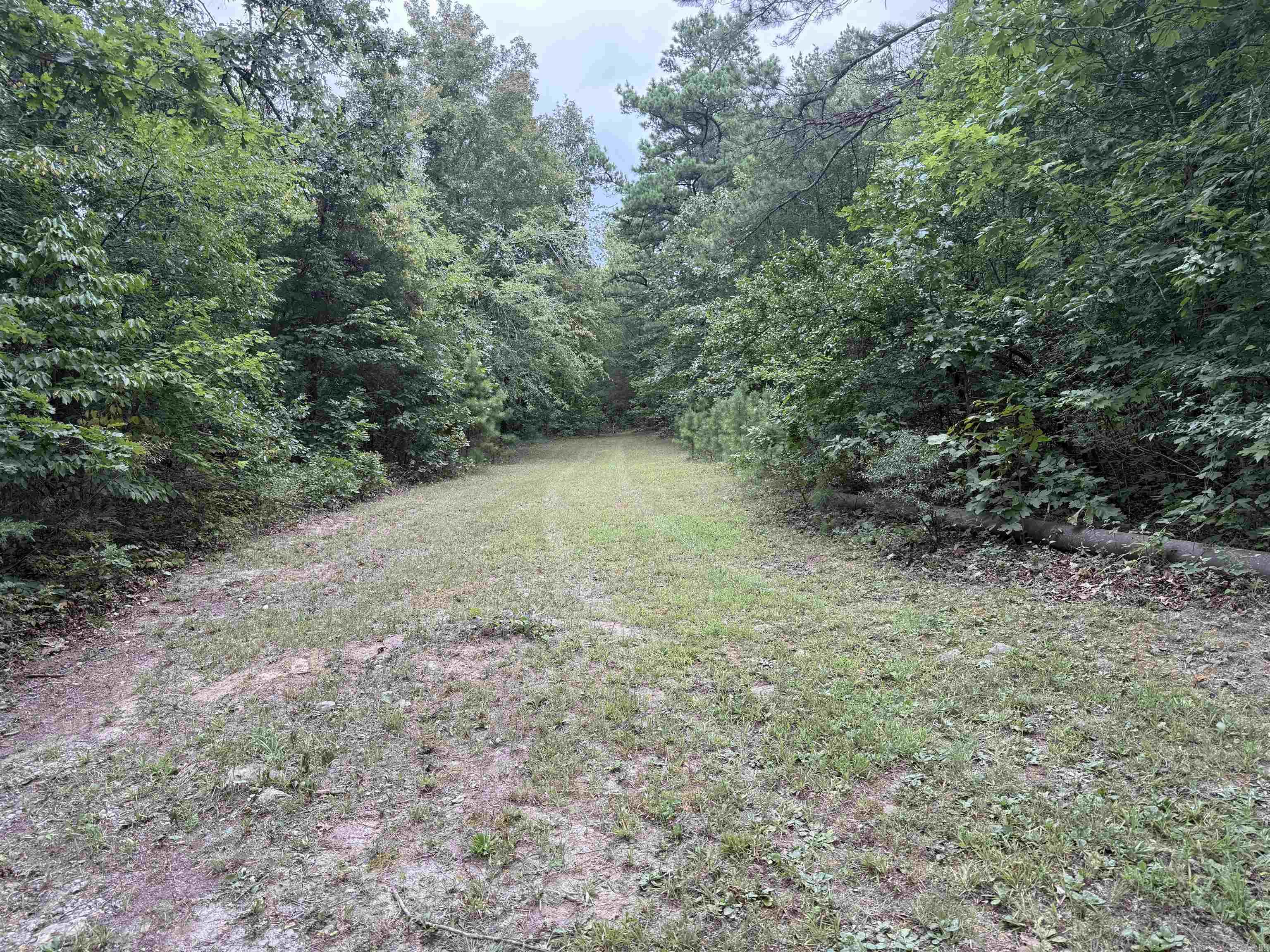 2940 Oxley Road Leslie, AR 72645