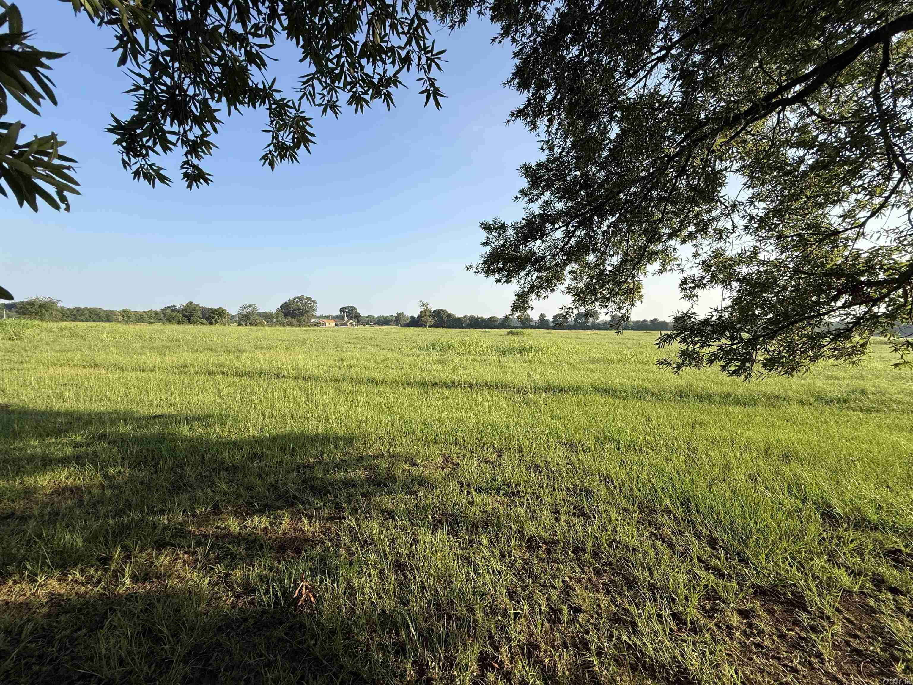 1421 Hwy 195 N  Blevins, AR