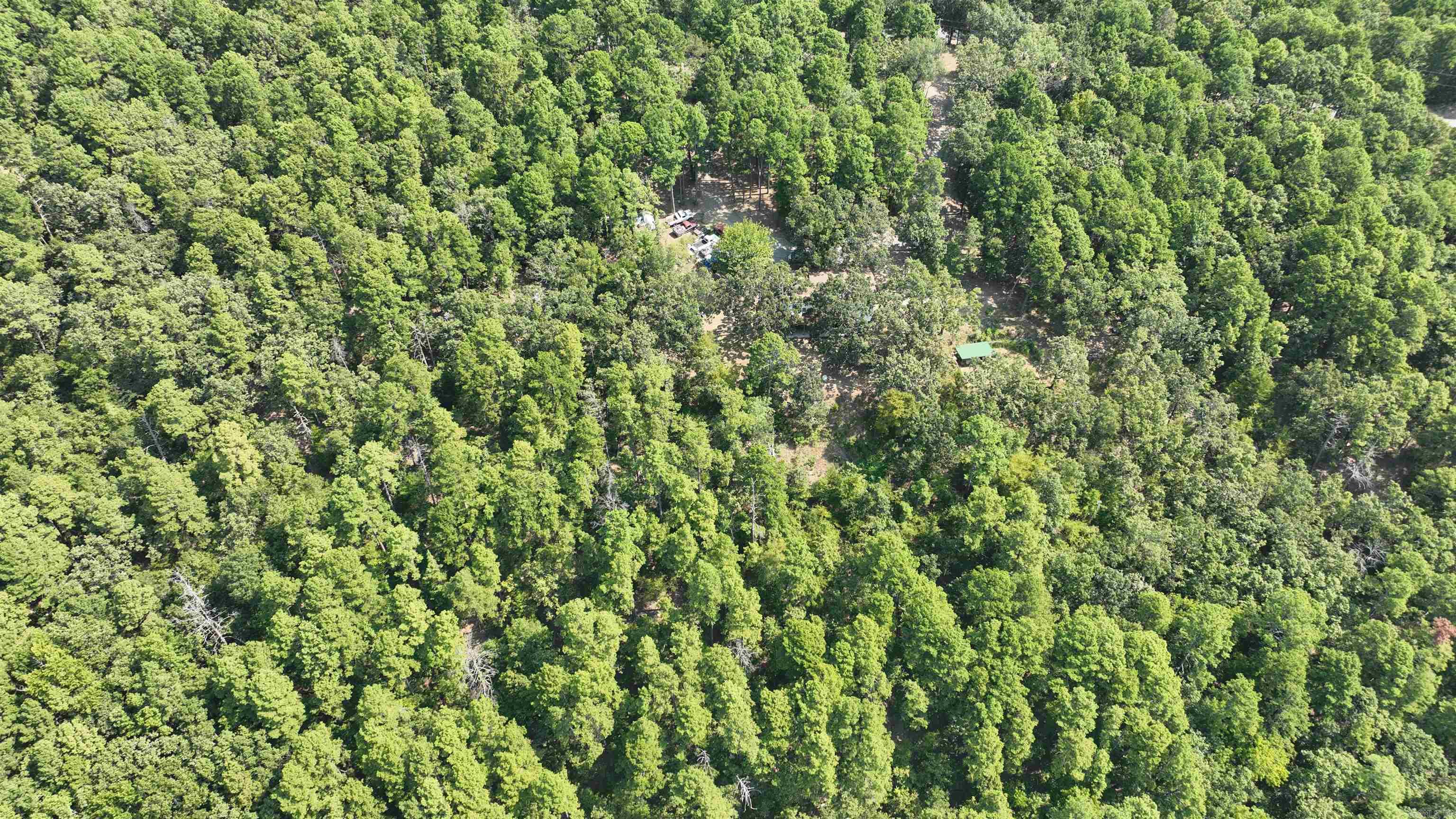 79 Jones Hill Lane Mayflower, AR 72106-9600