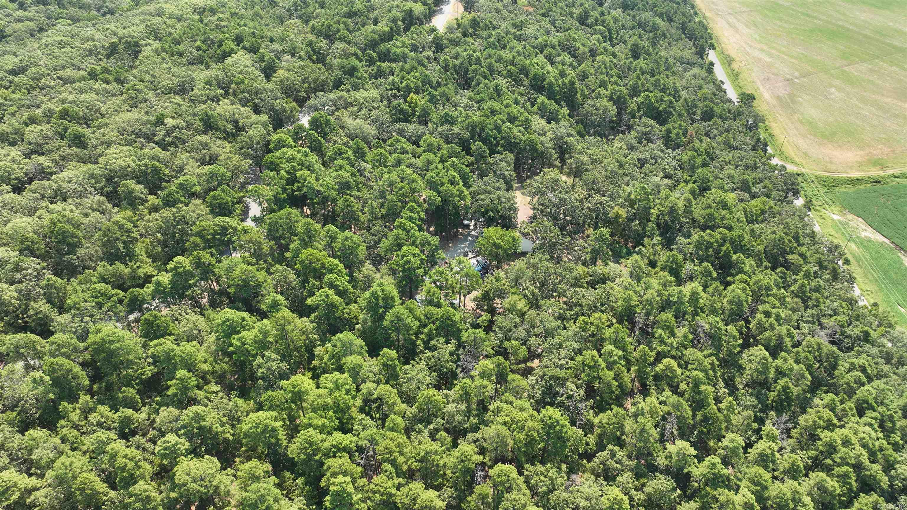 79 Jones Hill Lane Mayflower, AR 72106-9600