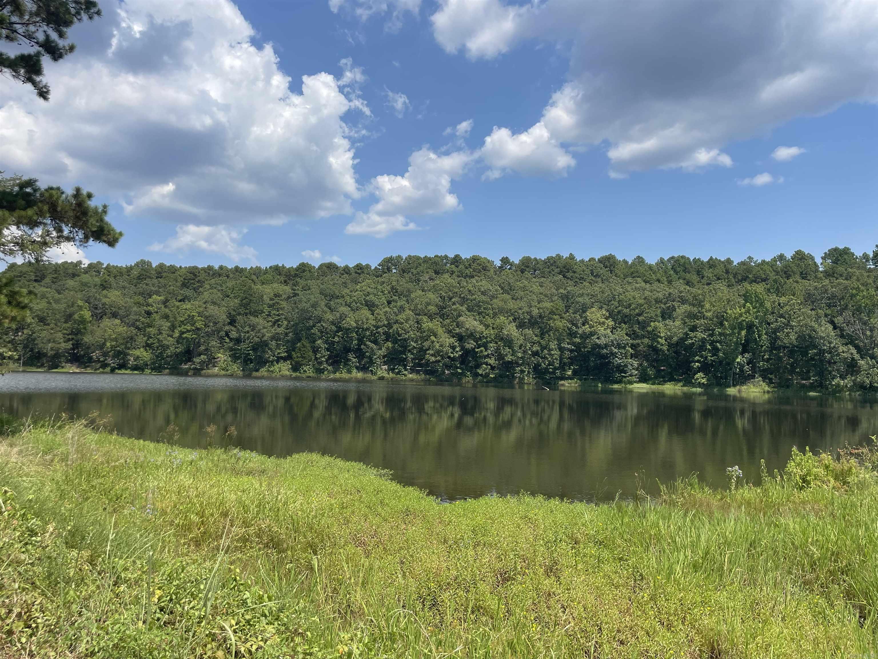 79 Jones Hill Lane Mayflower, AR 72106-9600
