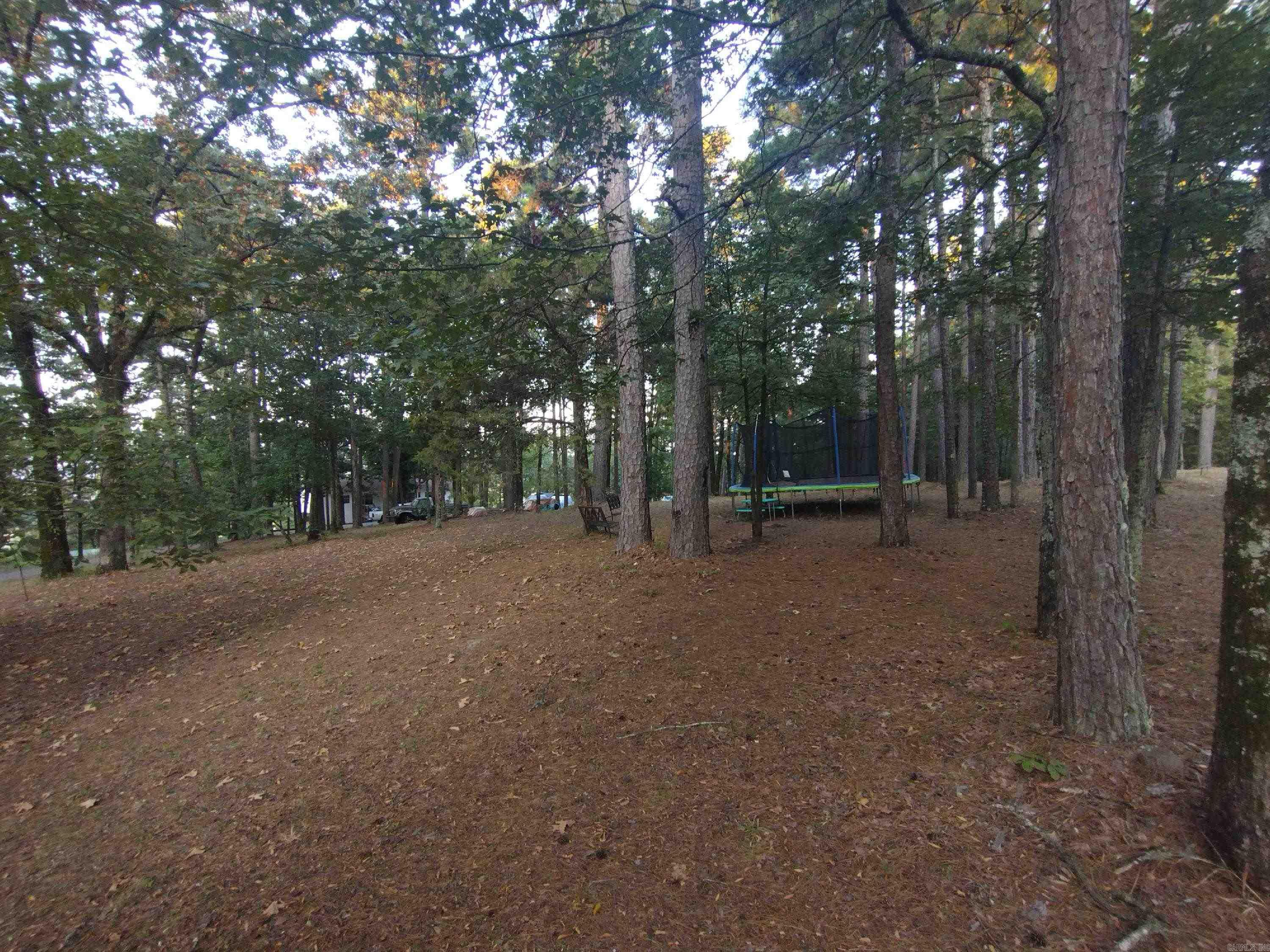 79 Jones Hill Lane Mayflower, AR 72106-9600
