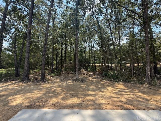 85 Turkey Roost Drive  Quitman, AR