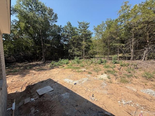 51 Sky Eagle Drive  Greenbrier, AR