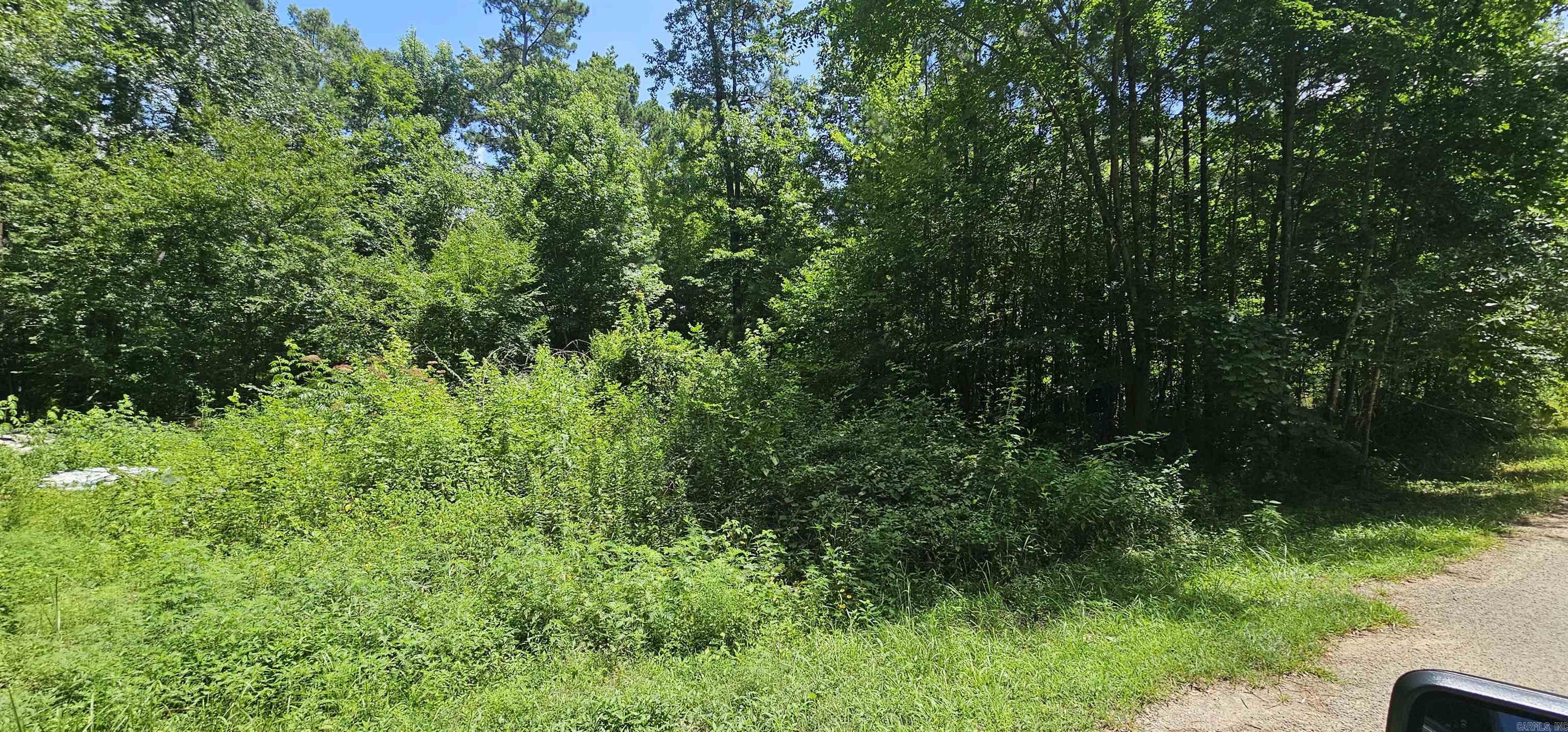 121 Williams  Royal, AR