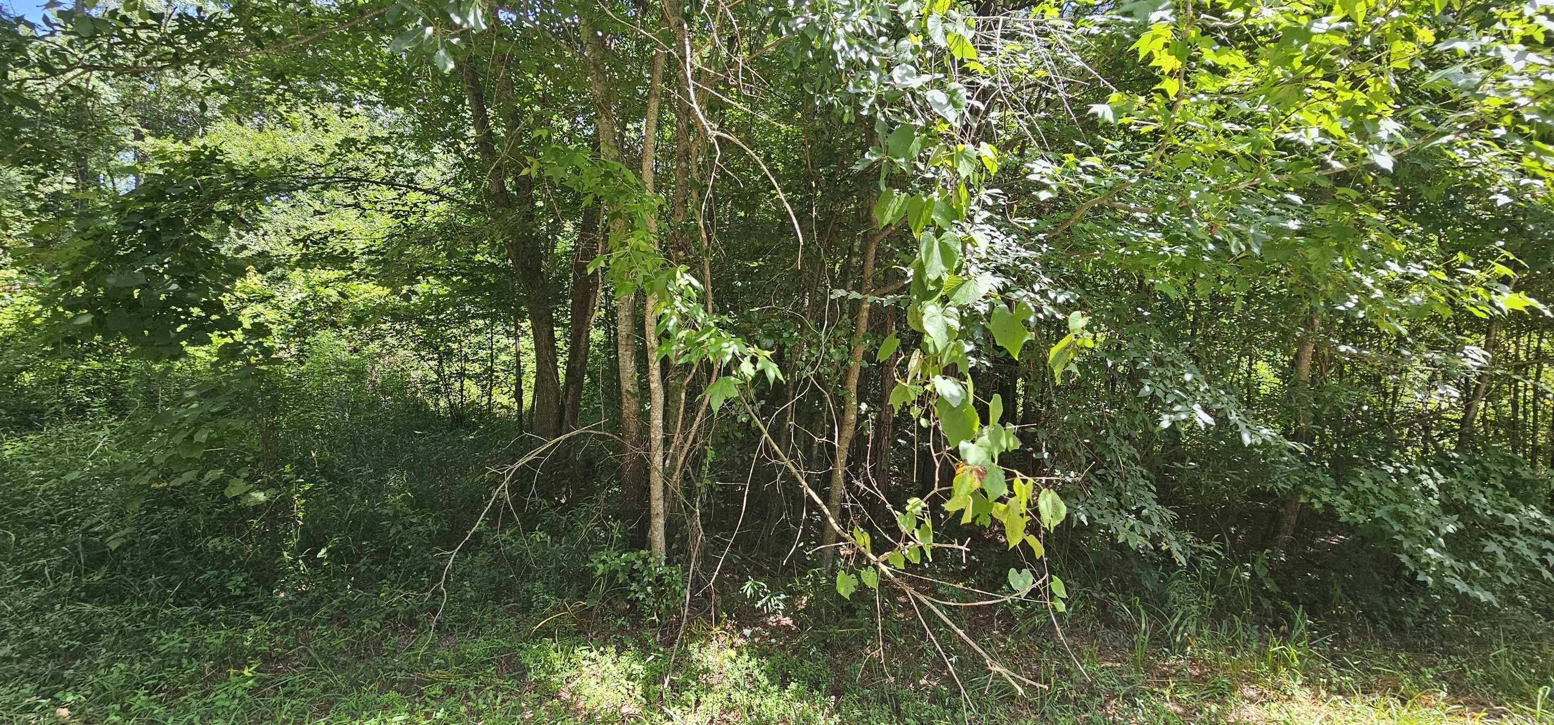 121 Williams  Royal, AR