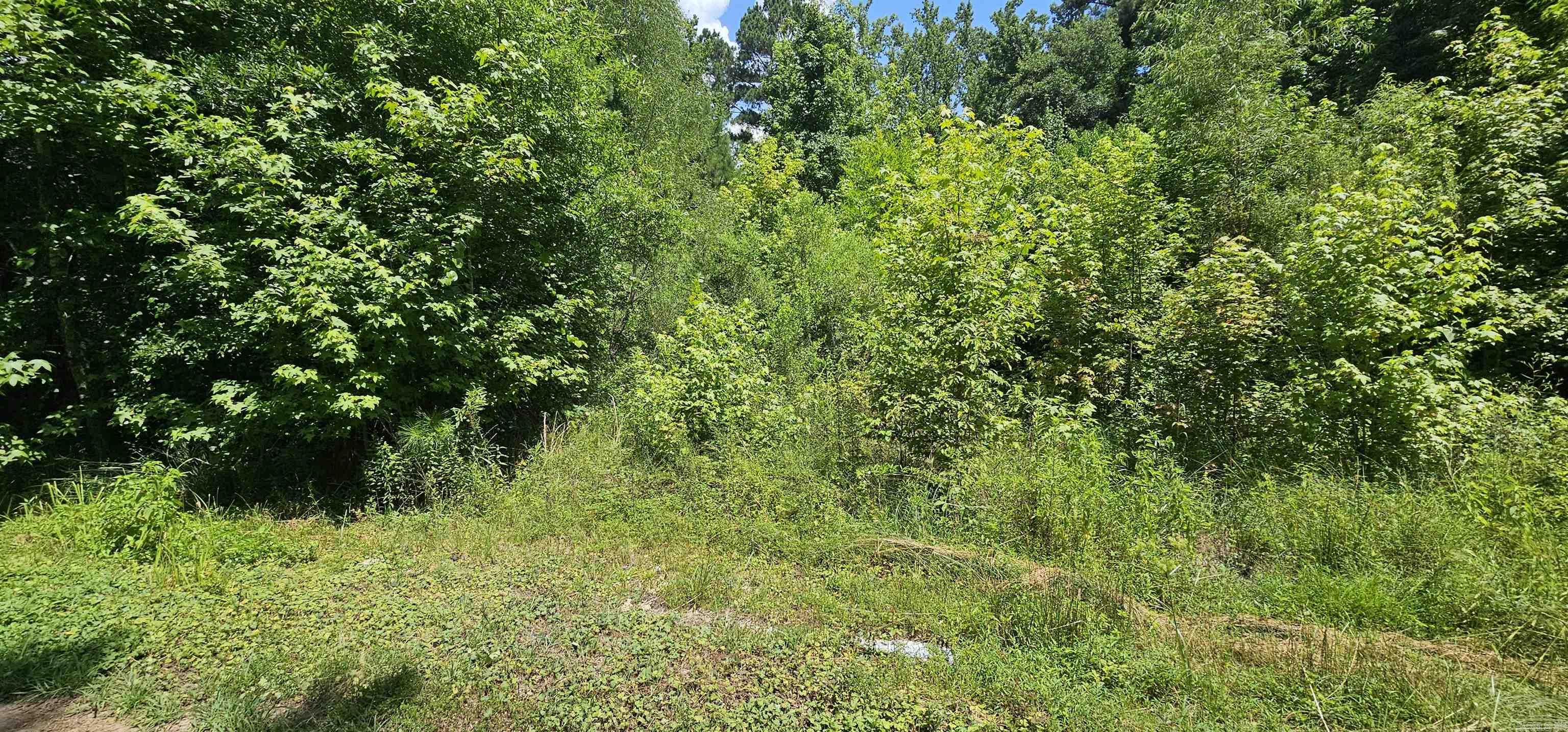 121 Williams  Royal, AR