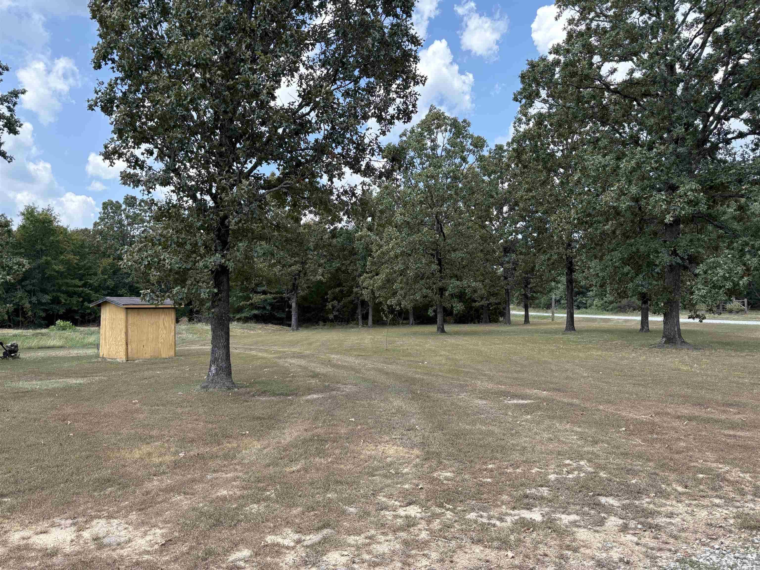 100 Round Tree  Searcy, AR