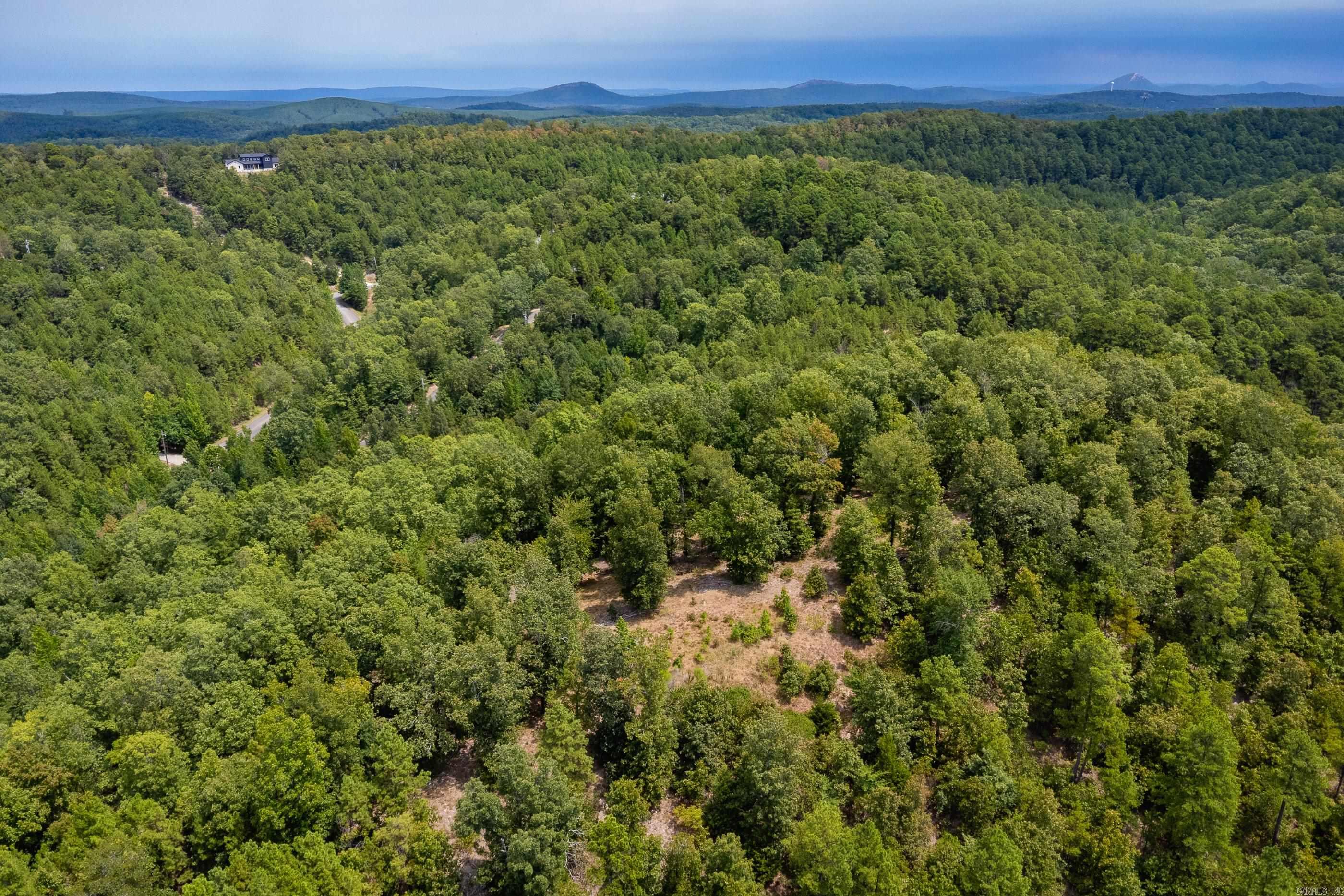 39 Golden Eagle  Paron, AR