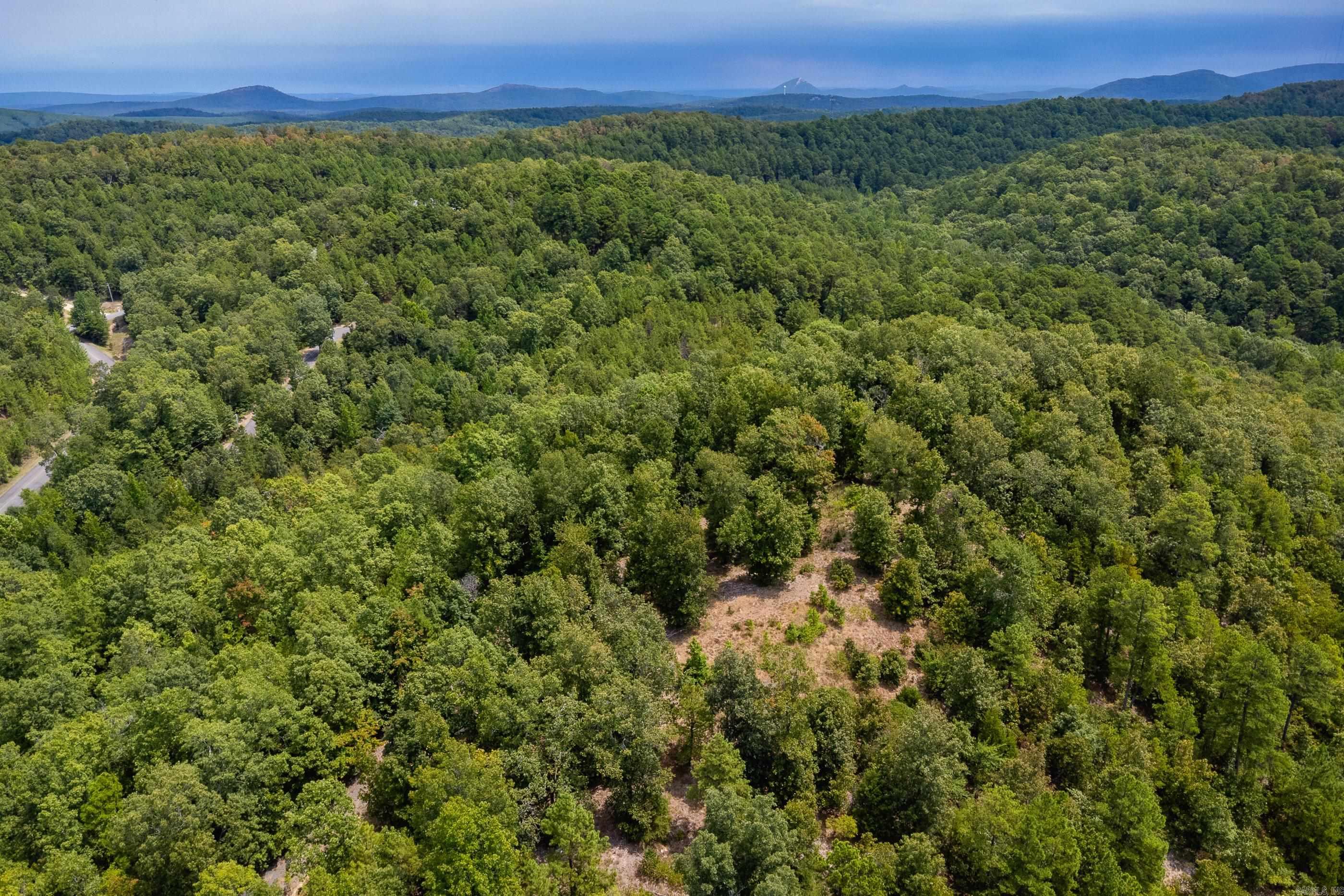 39 Golden Eagle  Paron, AR