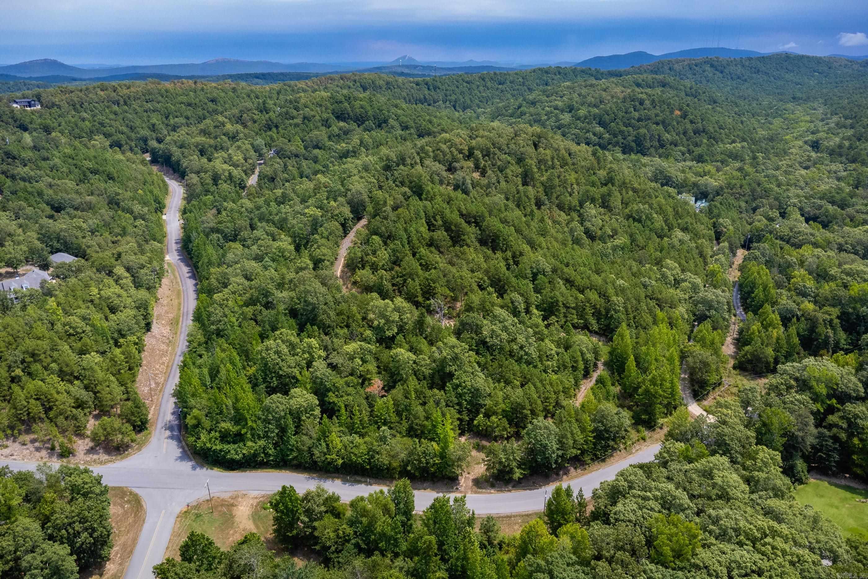 39 Golden Eagle  Paron, AR