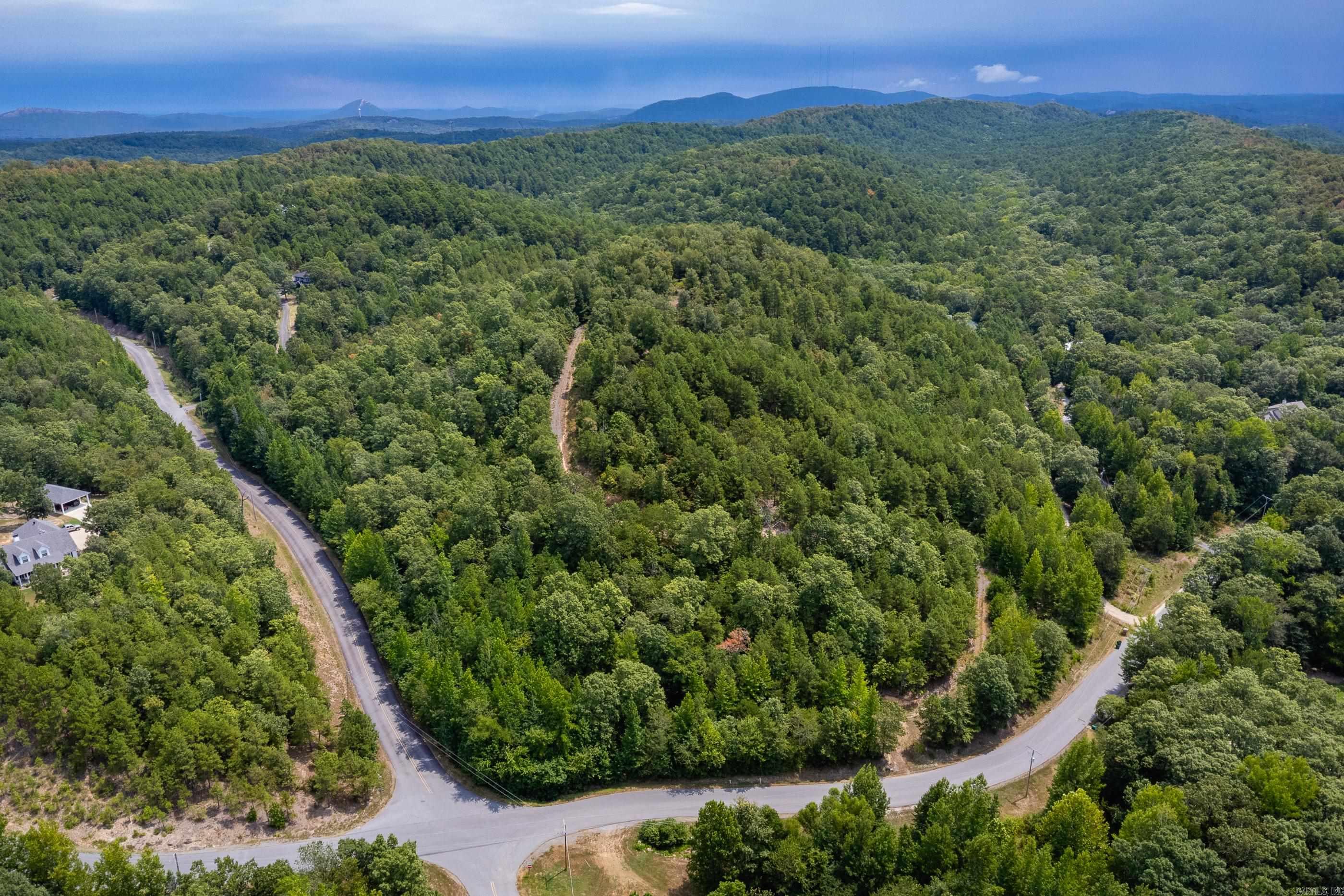 39 Golden Eagle  Paron, AR