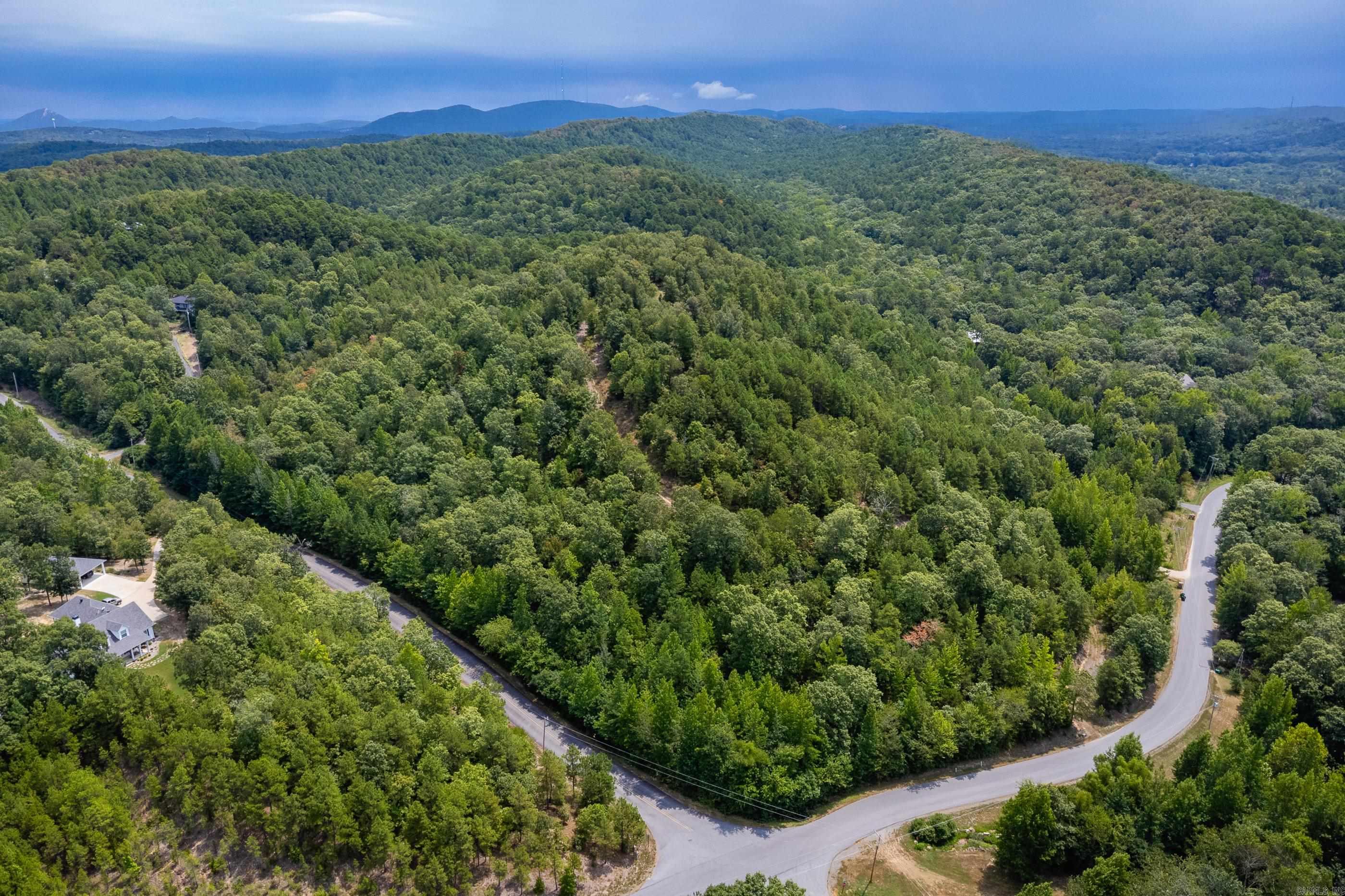 39 Golden Eagle  Paron, AR