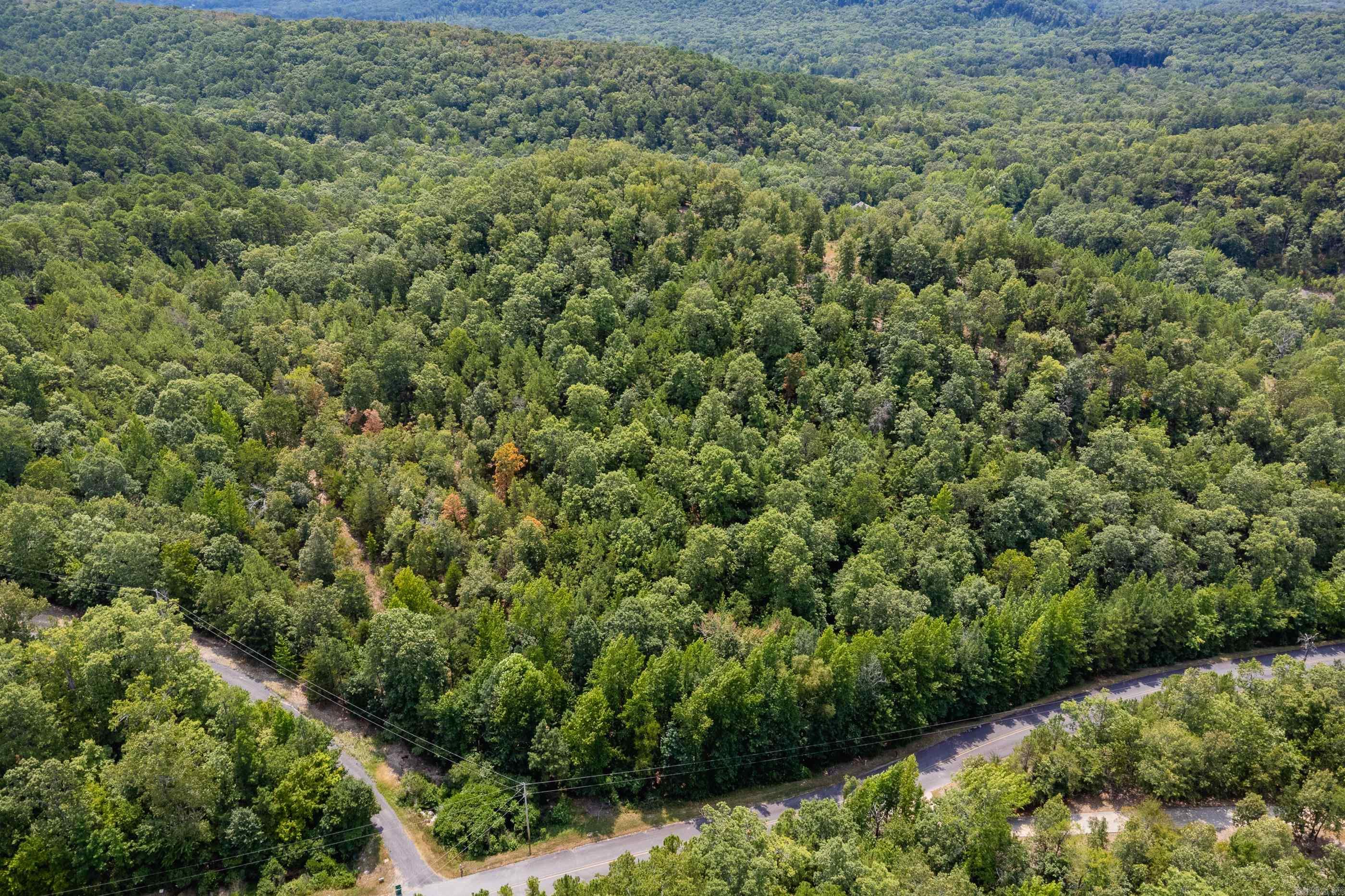 39 Golden Eagle  Paron, AR