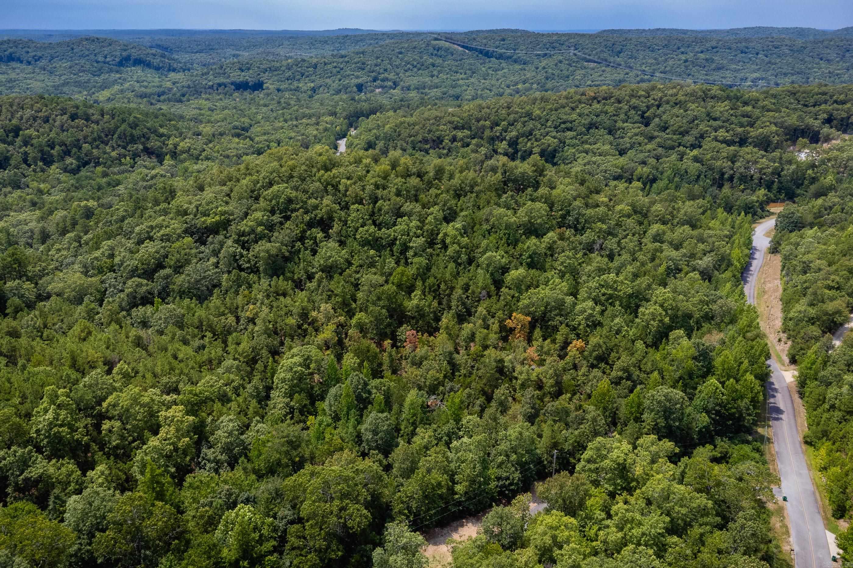 39 Golden Eagle  Paron, AR