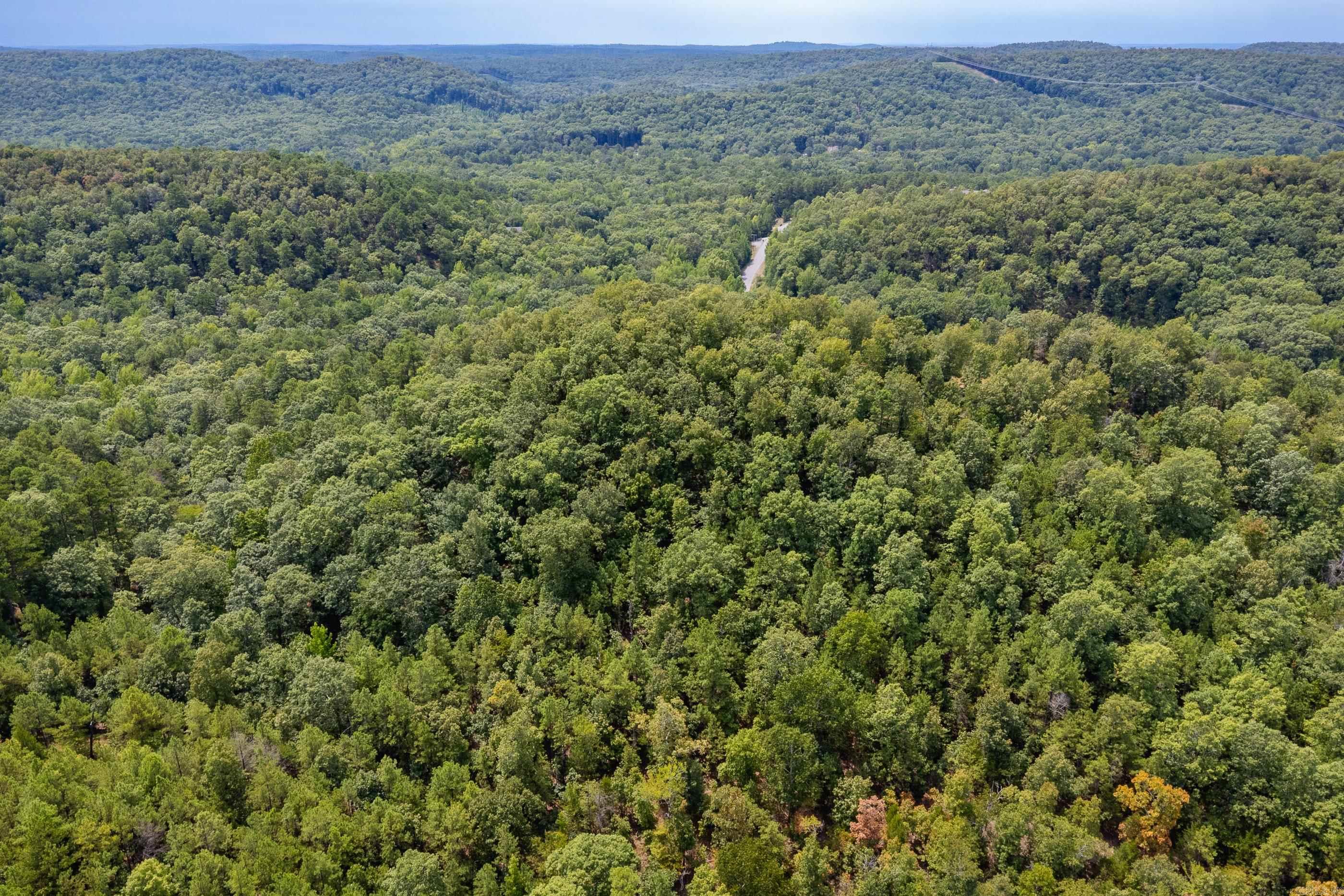39 Golden Eagle  Paron, AR