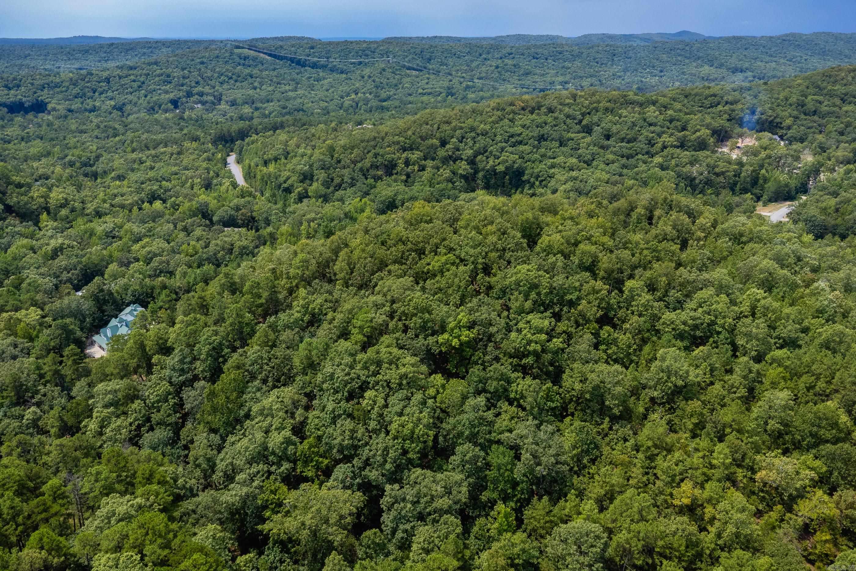 39 Golden Eagle  Paron, AR