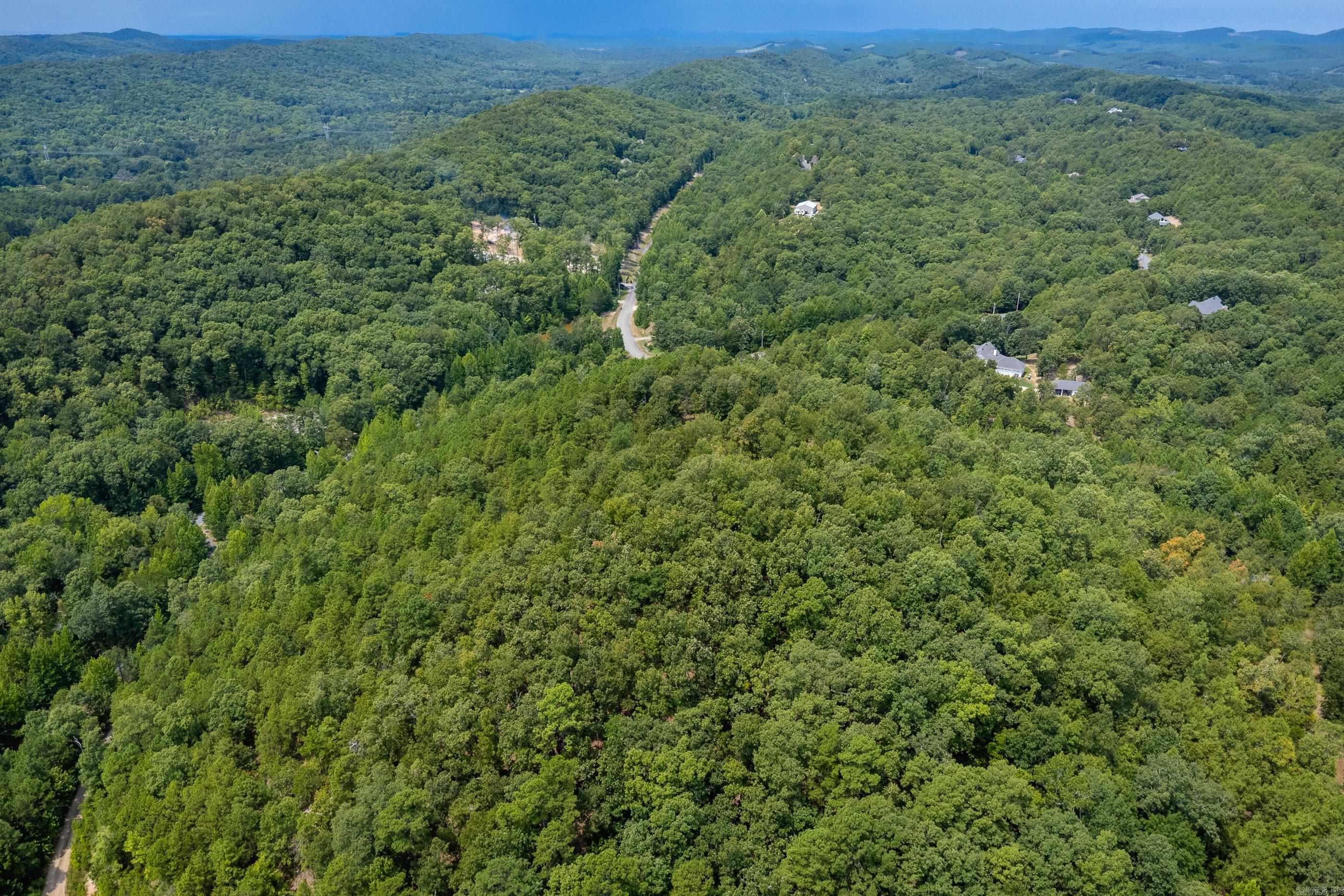 39 Golden Eagle  Paron, AR