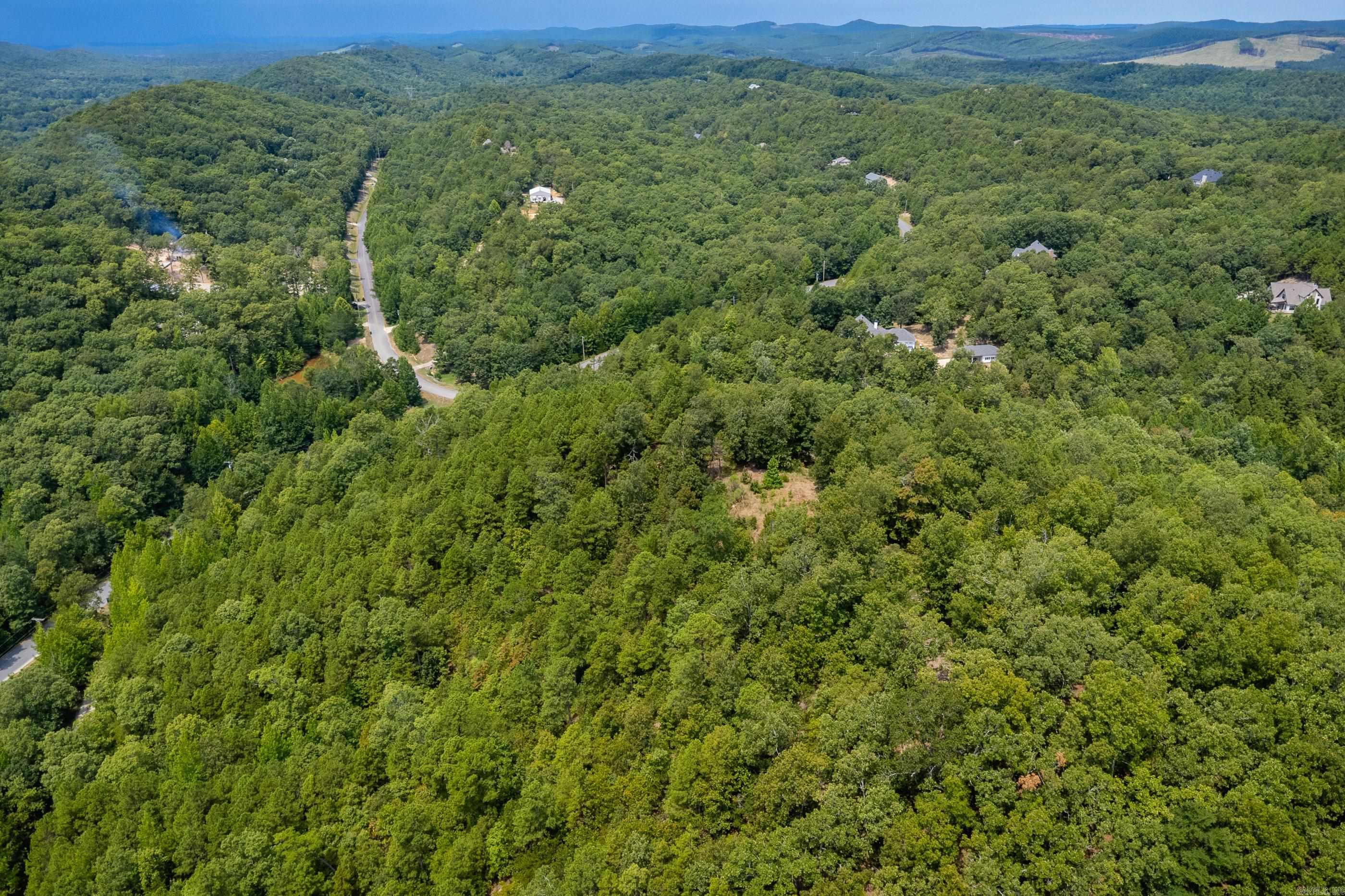 39 Golden Eagle  Paron, AR