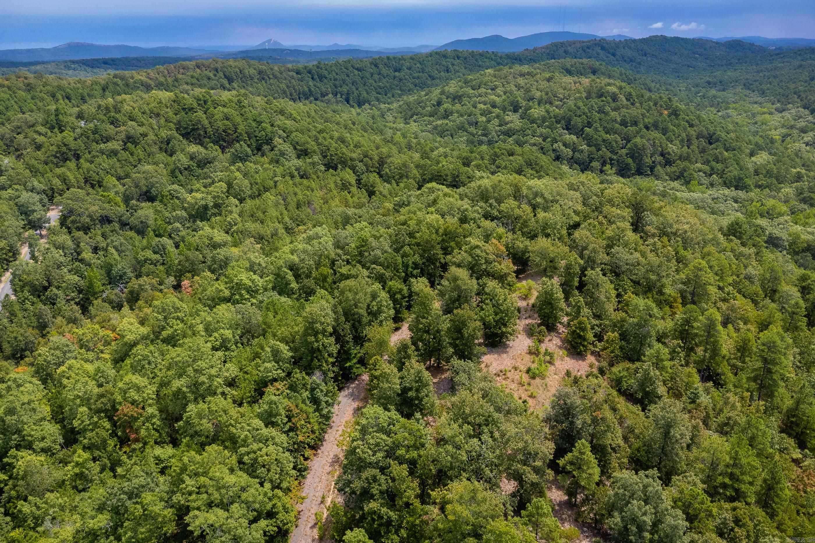 39 Golden Eagle  Paron, AR