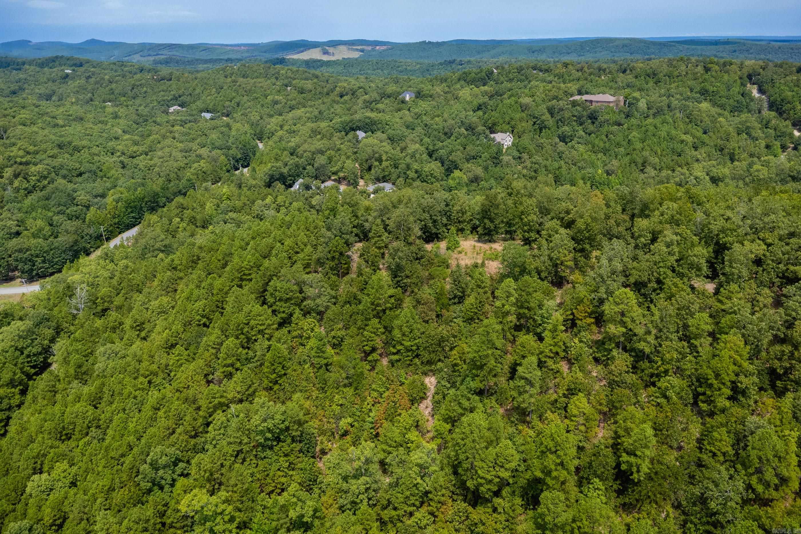 39 Golden Eagle  Paron, AR
