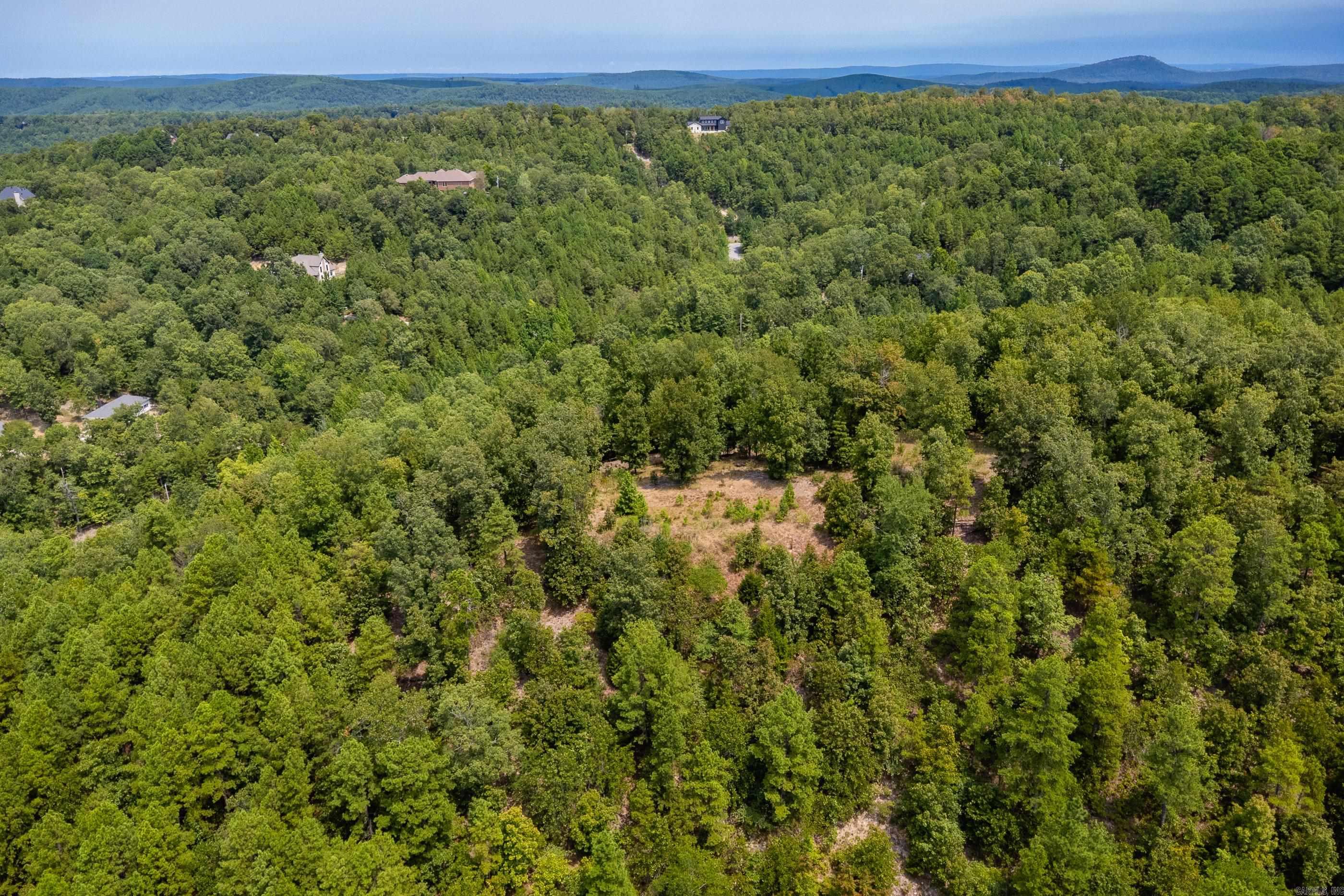 39 Golden Eagle  Paron, AR